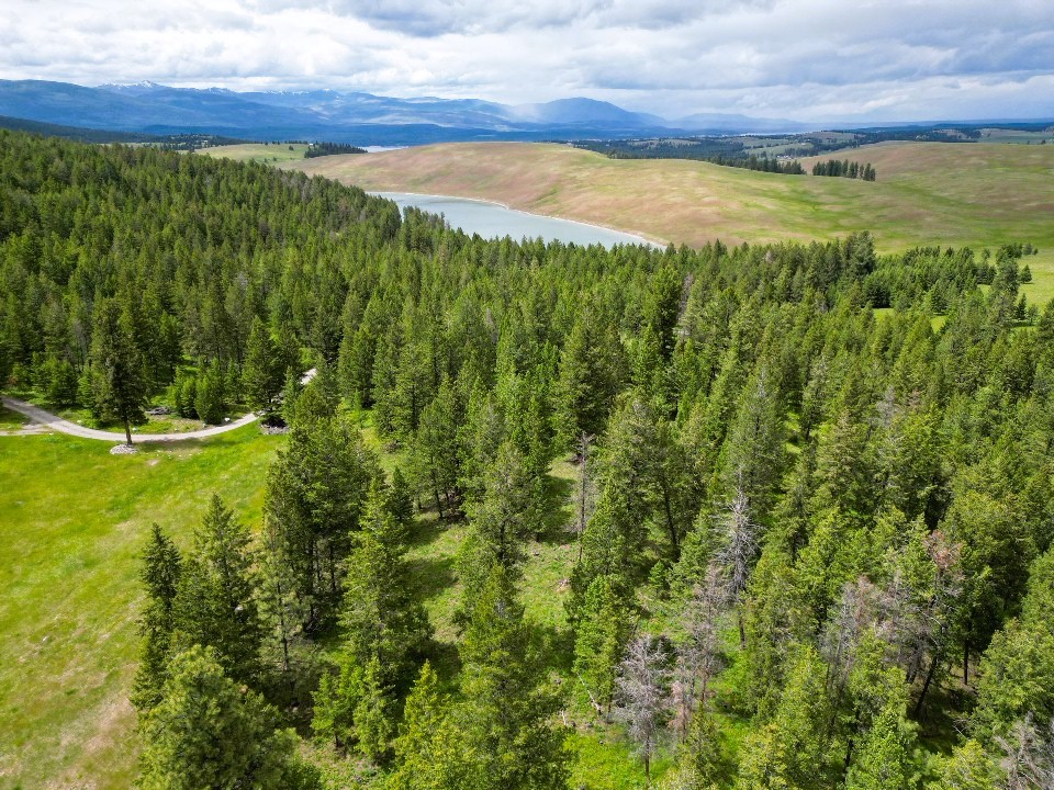 Nhn Black Lake Road Property Photo 19