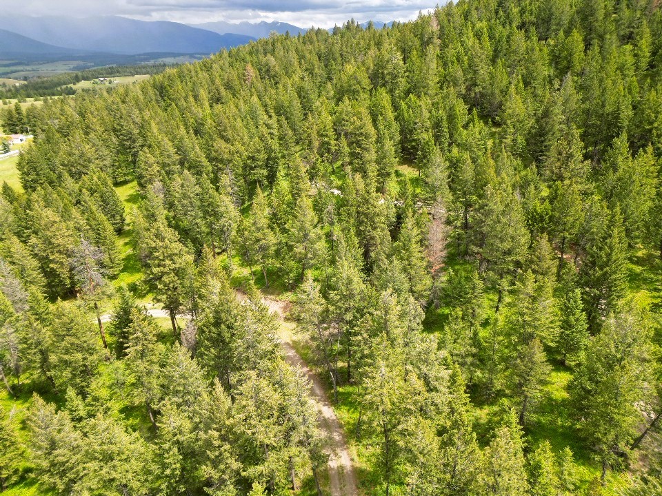 Nhn Black Lake Road Property Photo 20