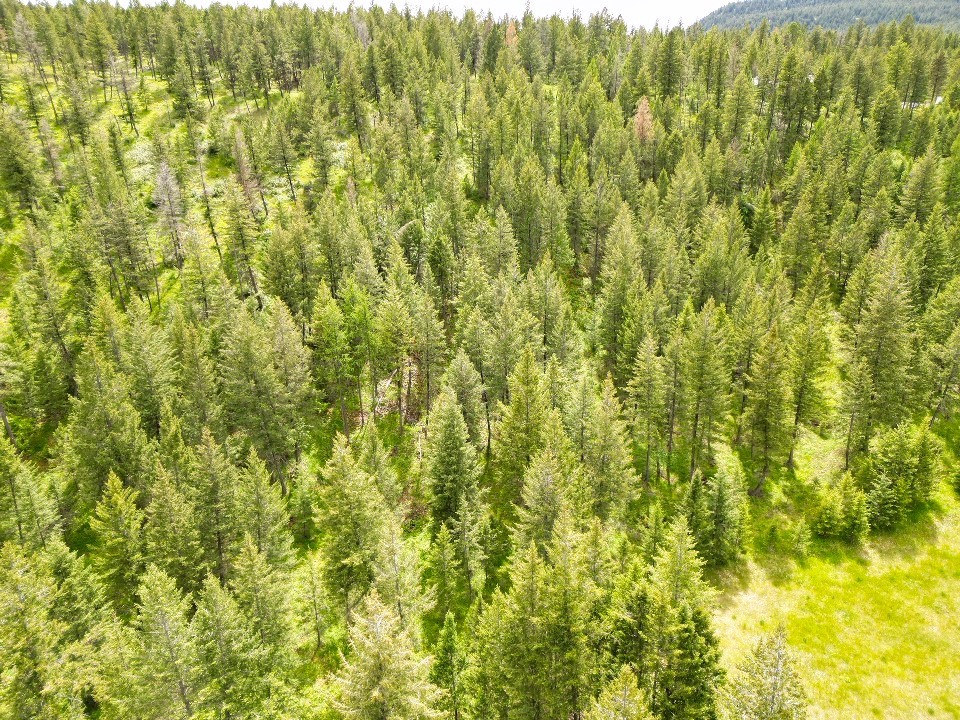 Nhn Black Lake Road Property Photo 21