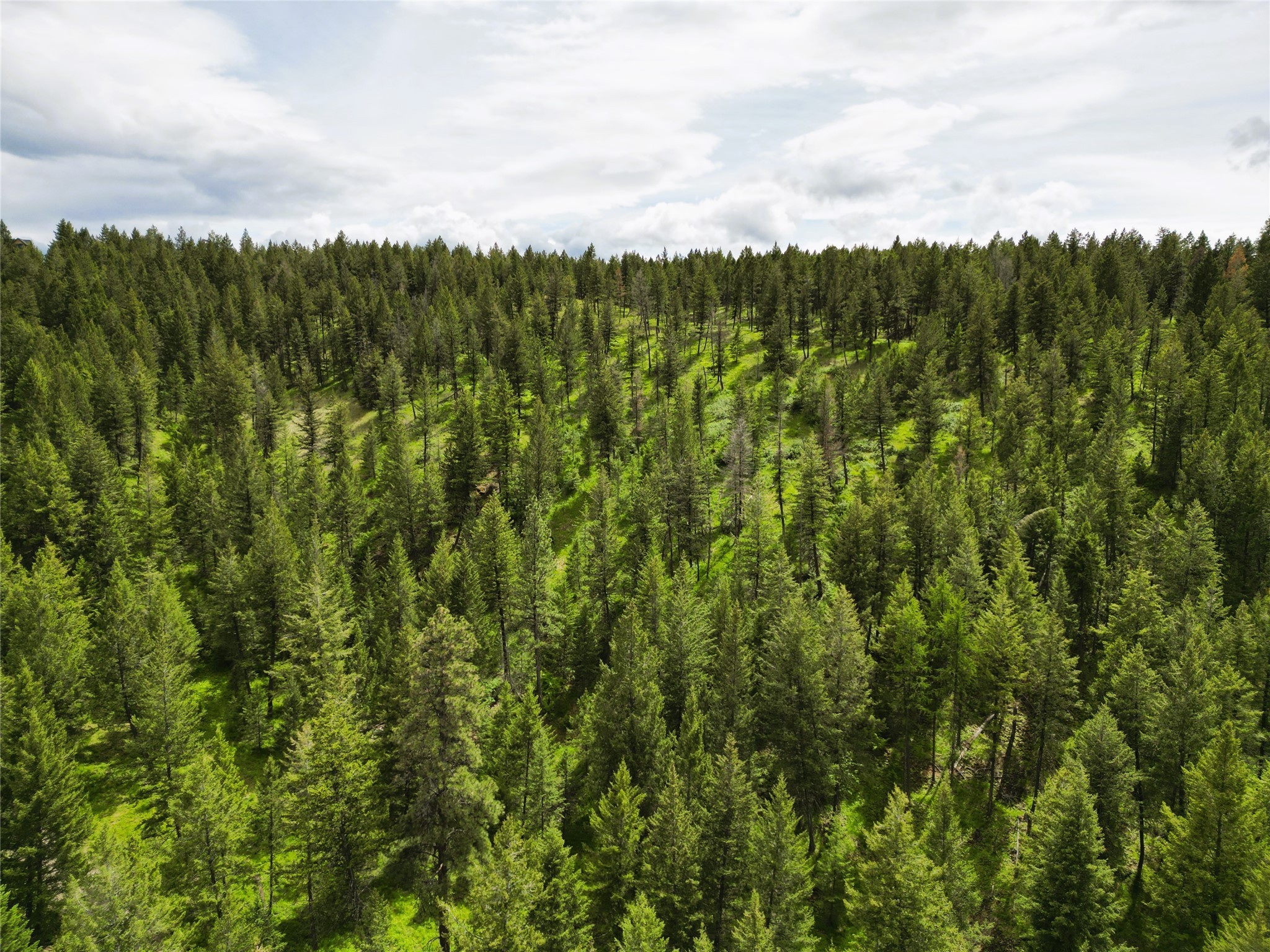 Nhn Black Lake Road Property Photo 22