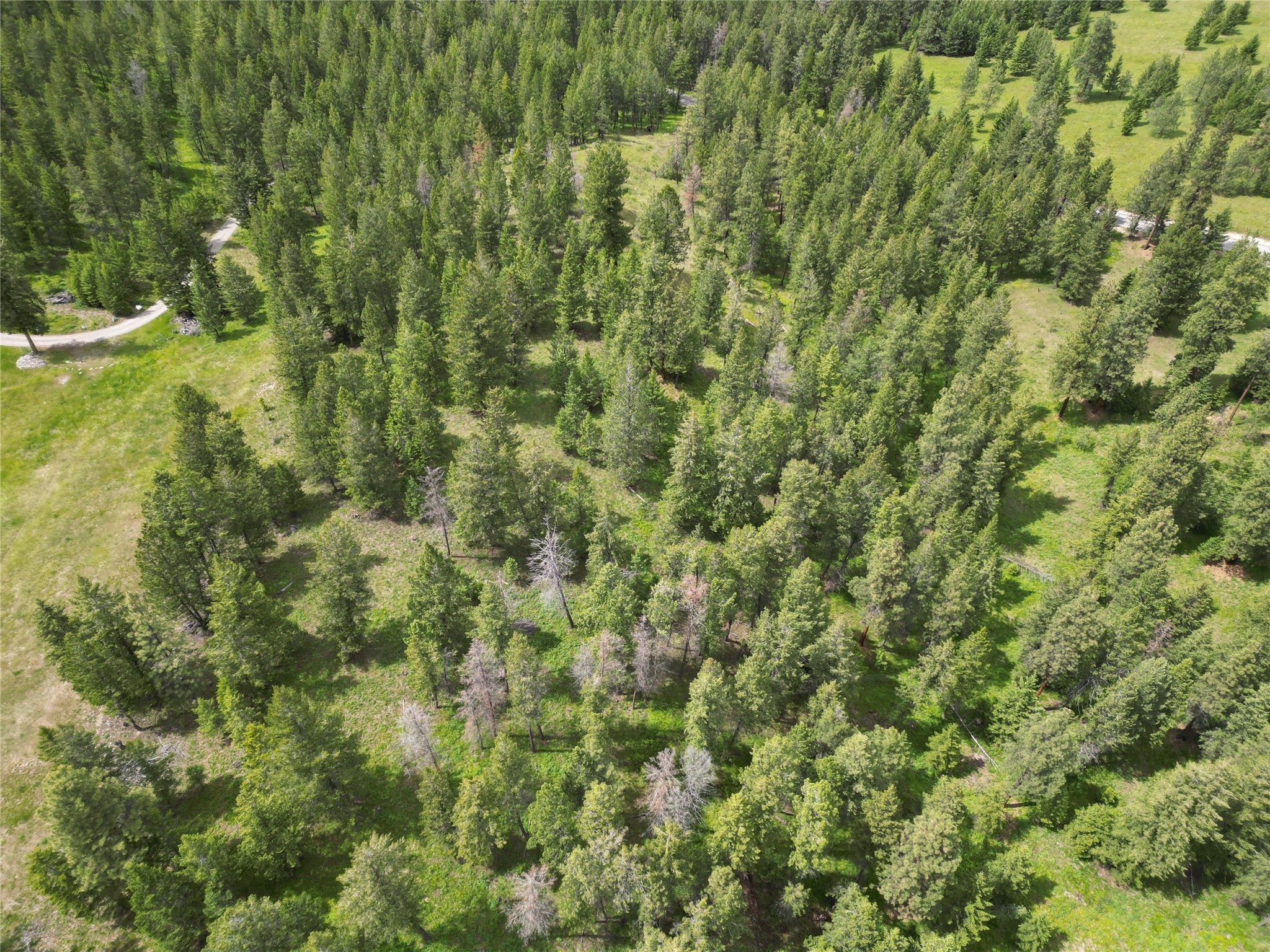 Nhn Black Lake Road Property Photo 23