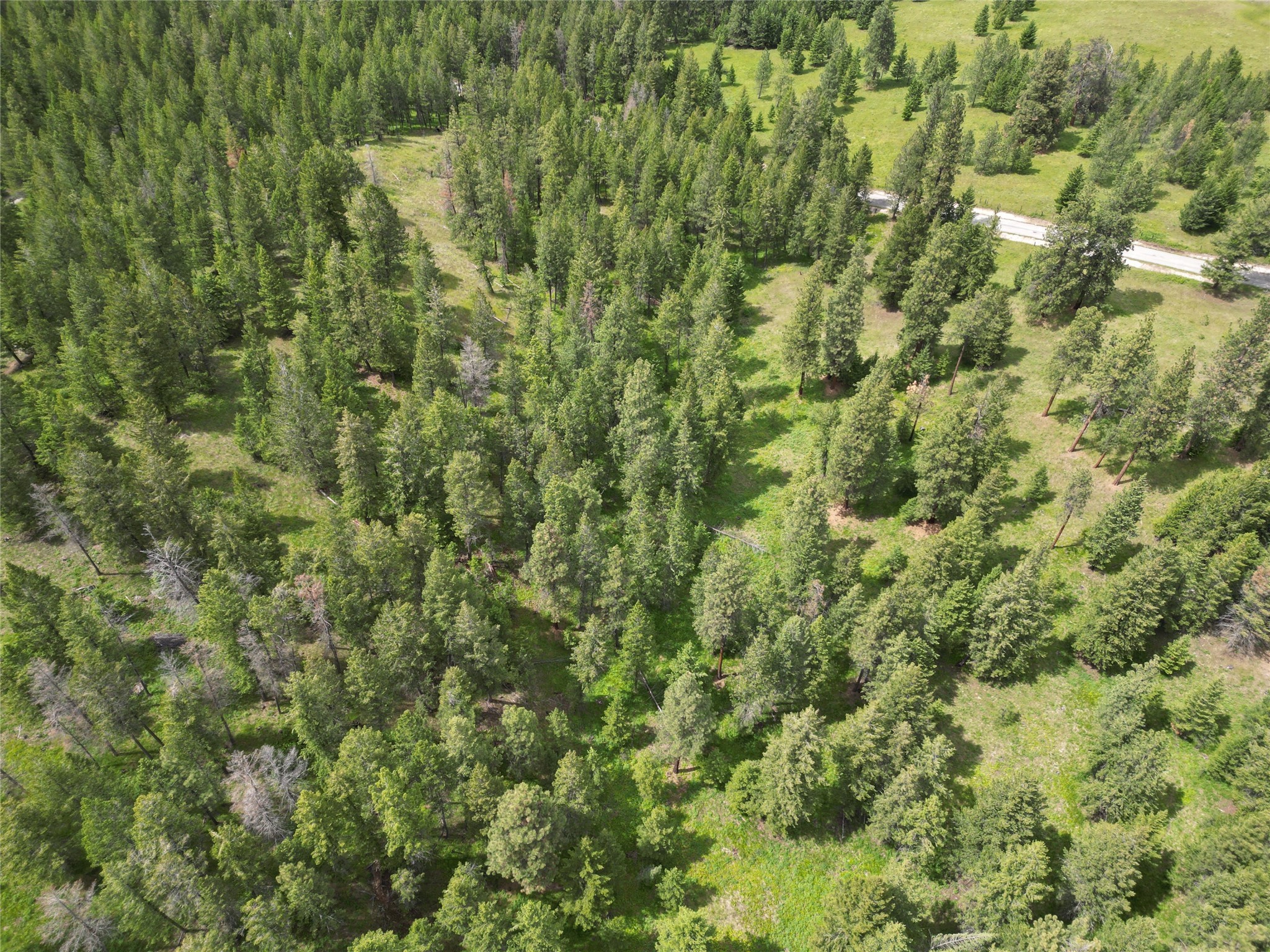 Nhn Black Lake Road Property Photo 24