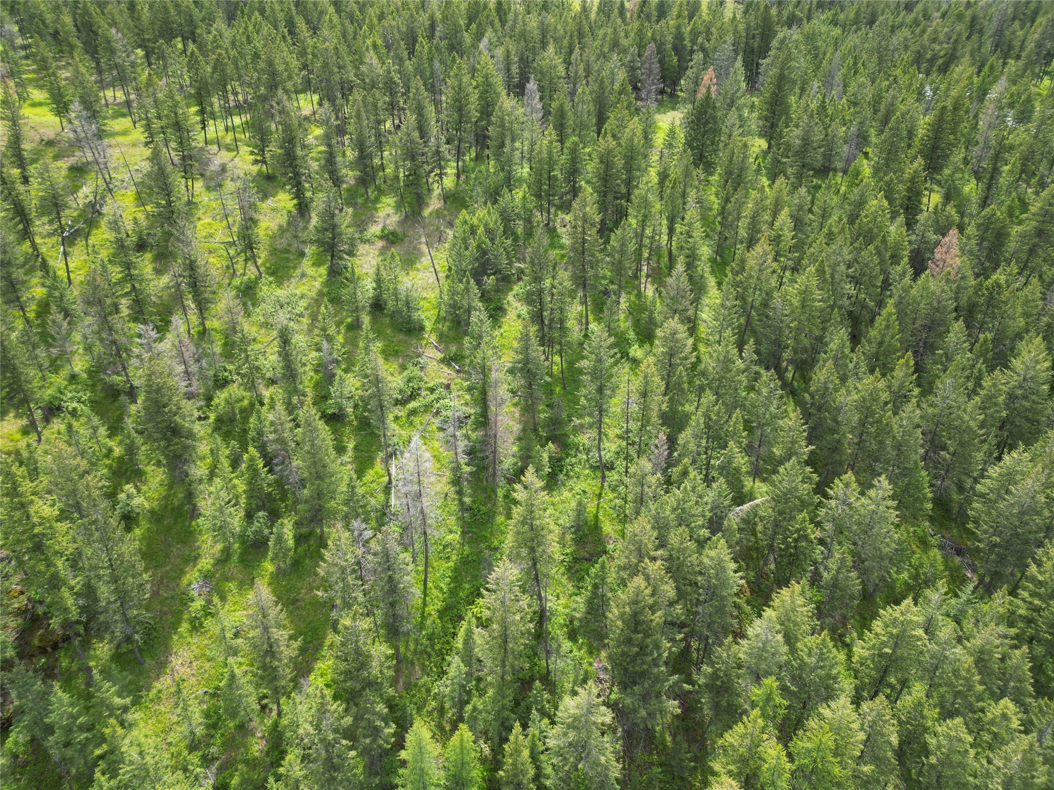 Nhn Black Lake Road Property Photo 26