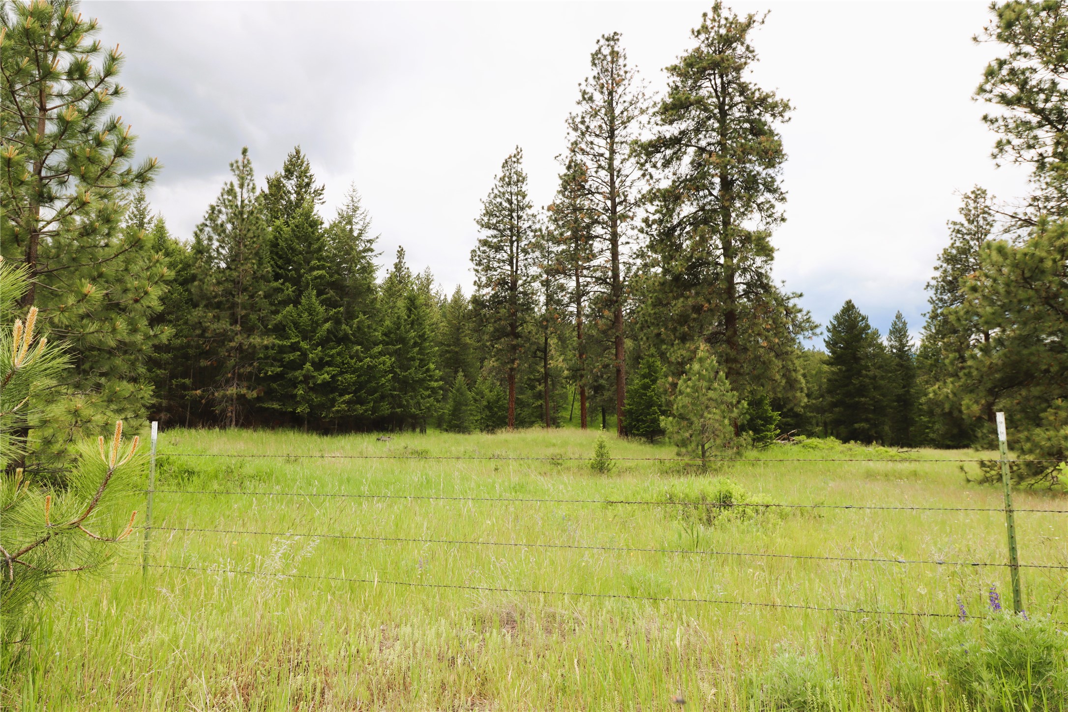 Nhn Black Lake Road Property Photo 33