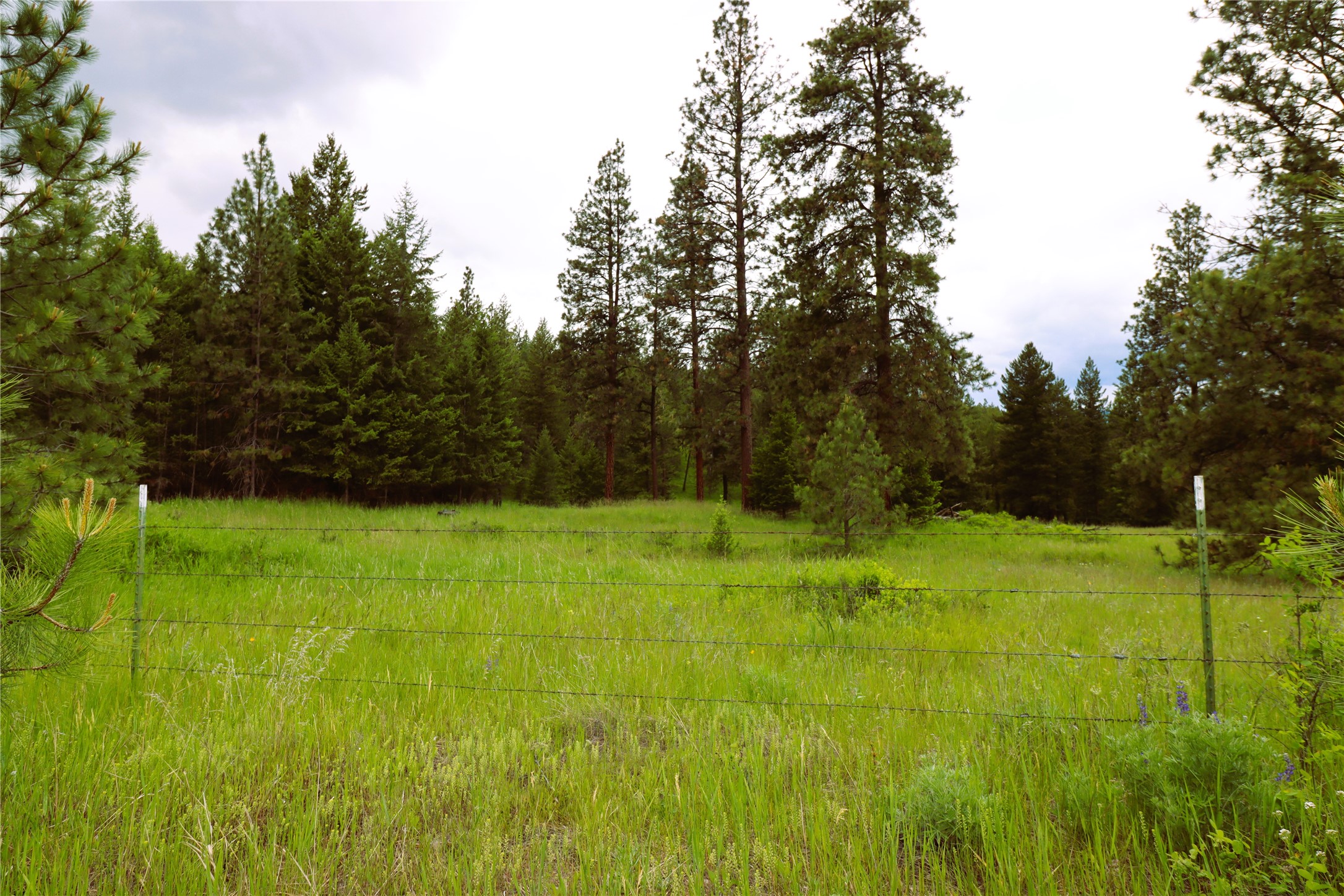 Nhn Black Lake Road Property Photo 34