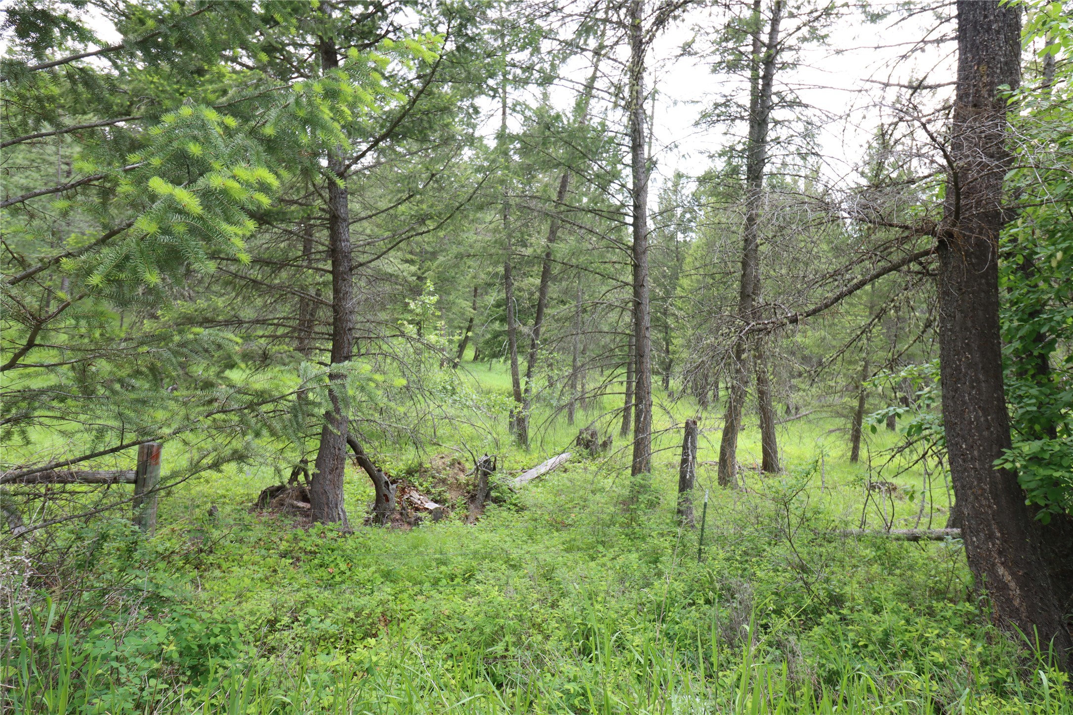 Nhn Black Lake Road Property Photo 35