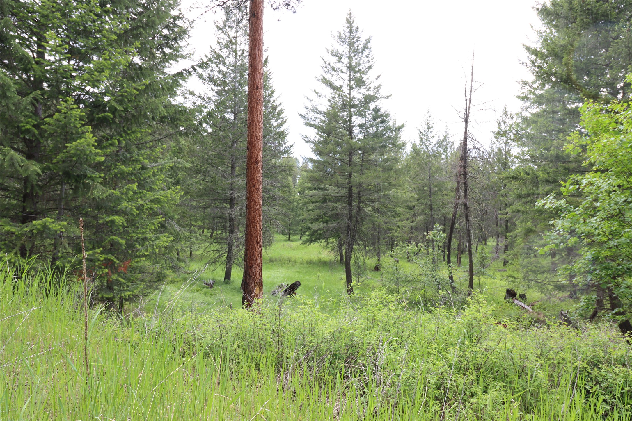 Nhn Black Lake Road Property Photo 36