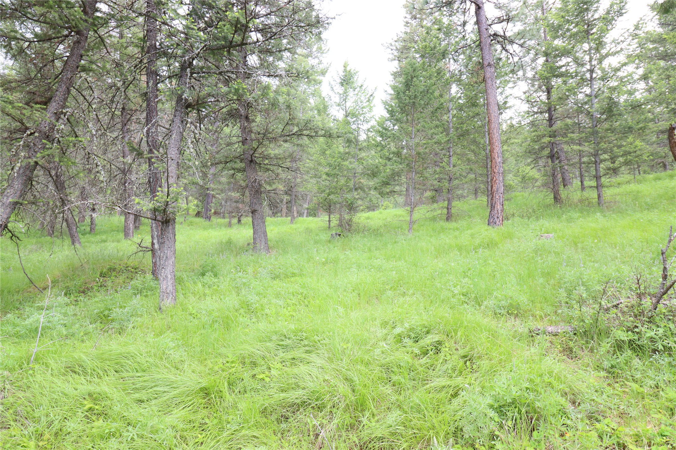 Nhn Black Lake Road Property Photo 37