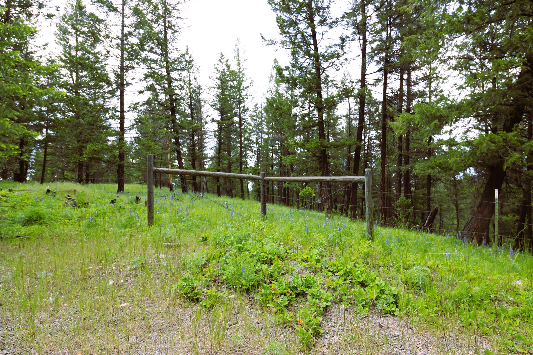 Nhn Black Lake Road Property Photo 39