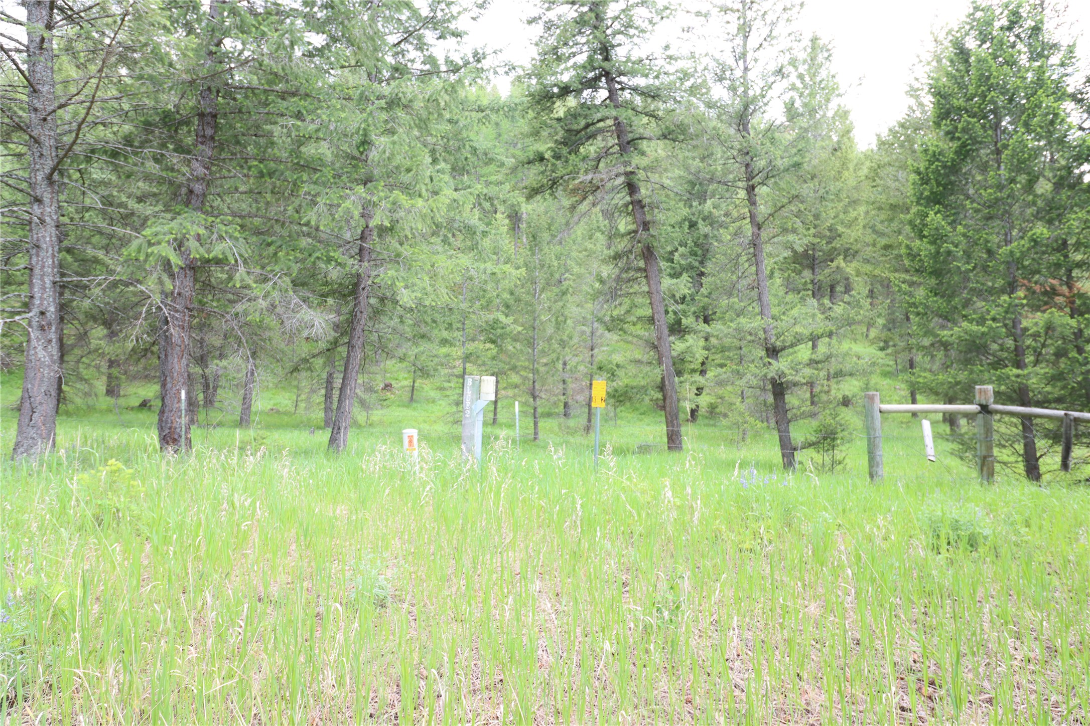 Nhn Black Lake Road Property Photo 40