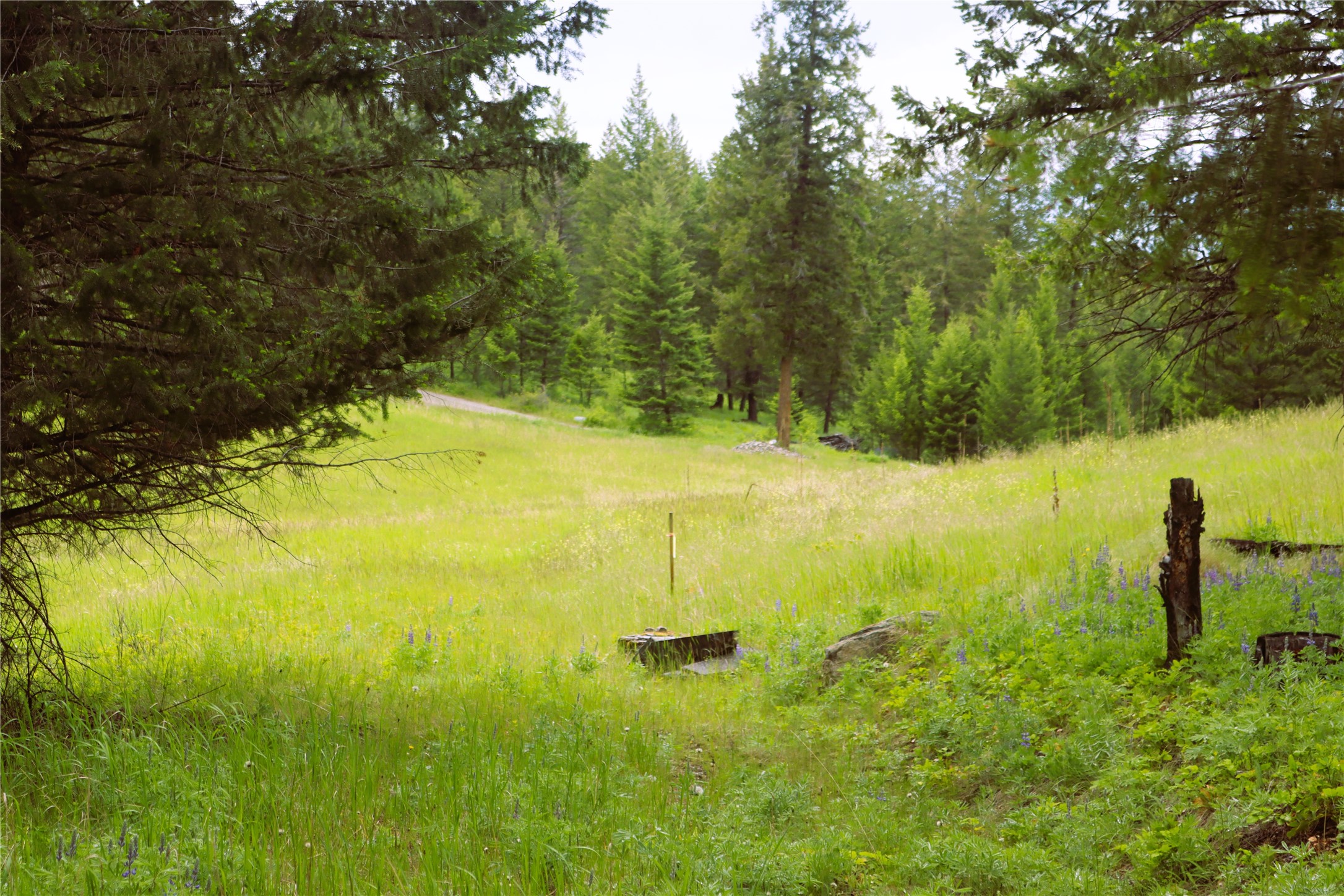Nhn Black Lake Road Property Photo 42