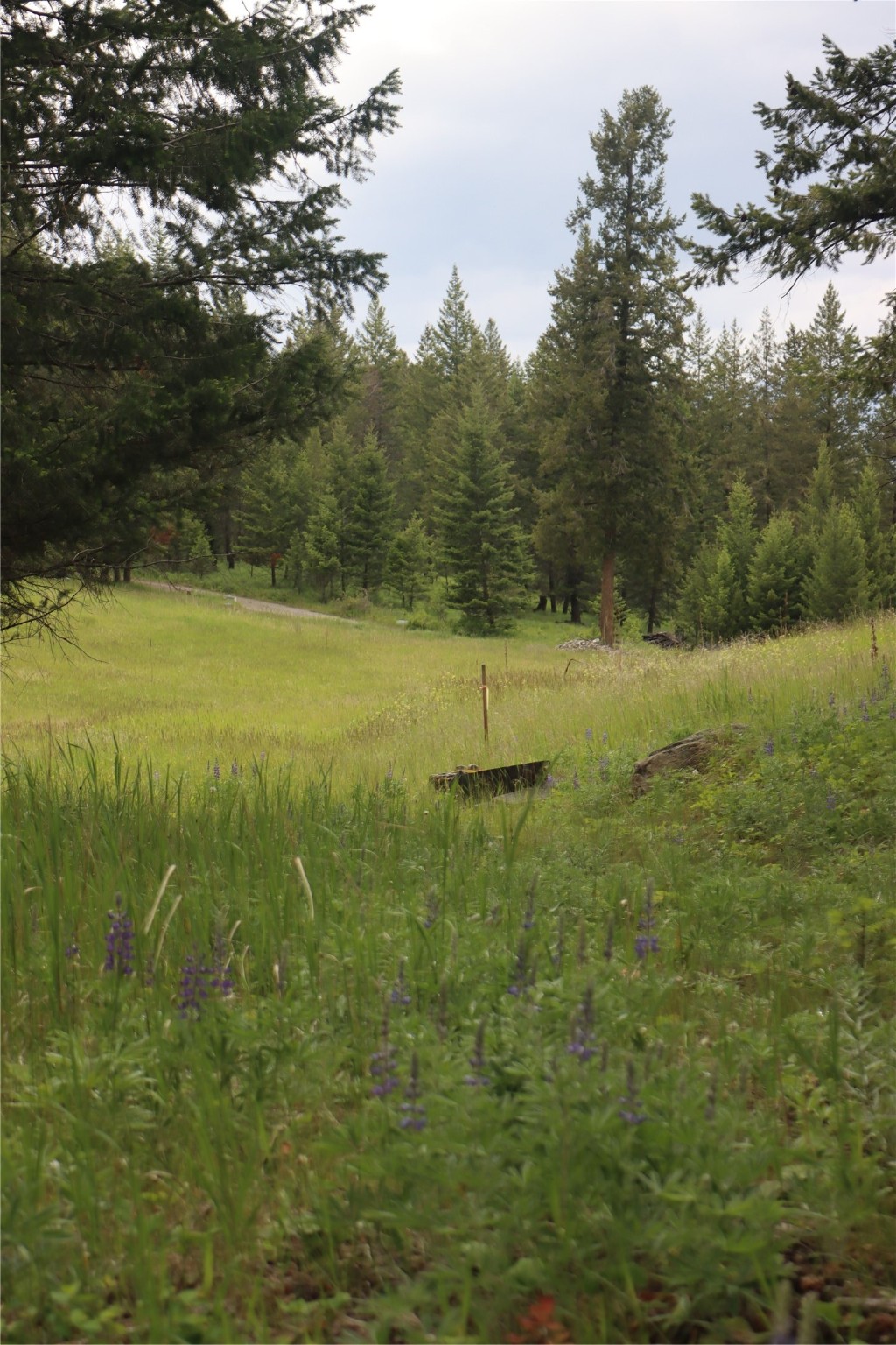 Nhn Black Lake Road Property Photo 43