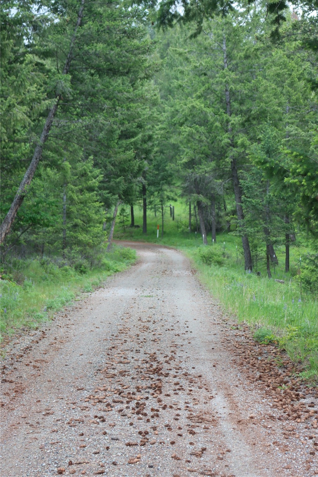 Nhn Black Lake Road Property Photo 45