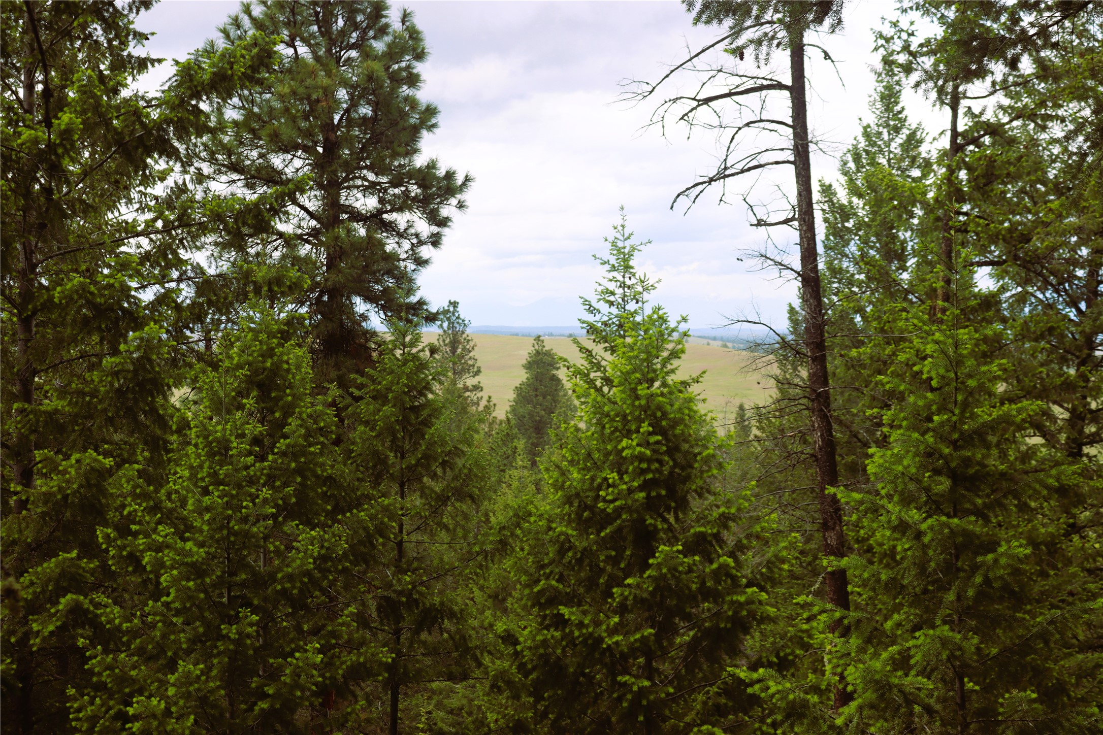 Nhn Black Lake Road Property Photo 46