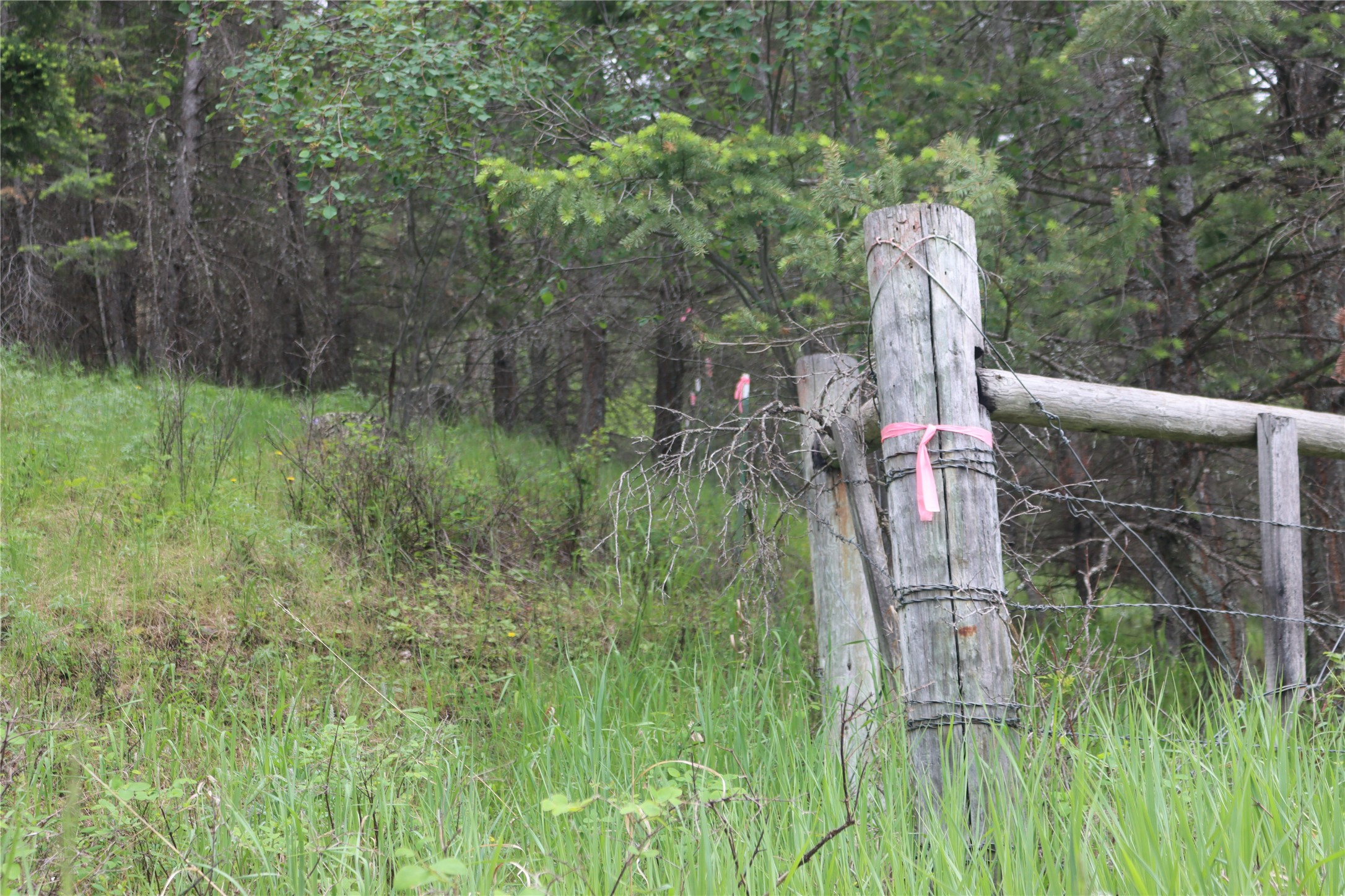 Nhn Black Lake Road Property Photo 47