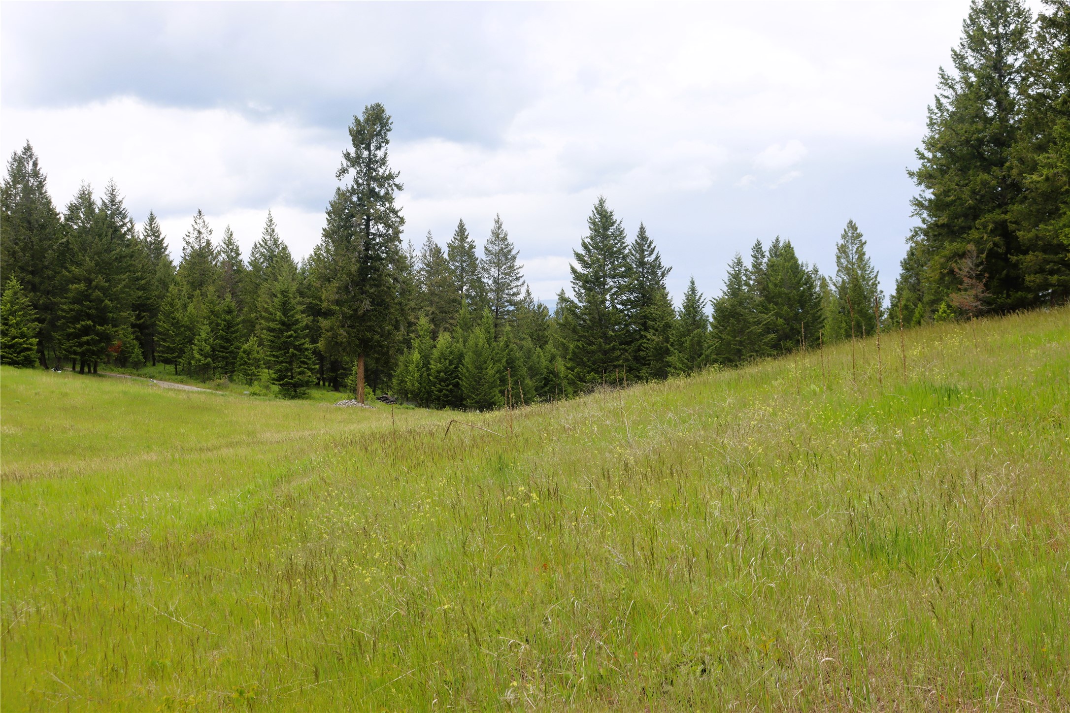 Nhn Black Lake Road Property Photo 48