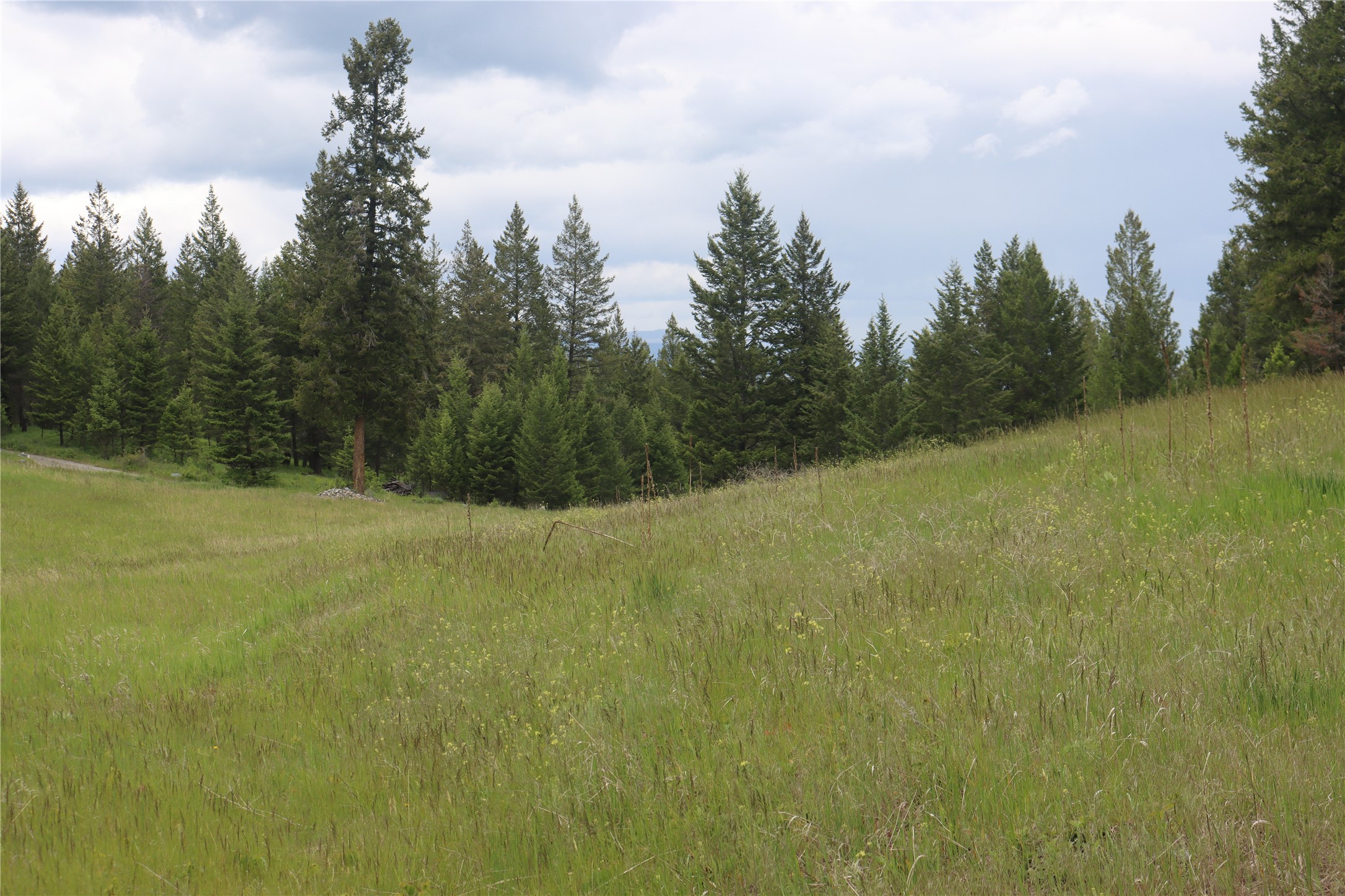 Nhn Black Lake Road Property Photo 49
