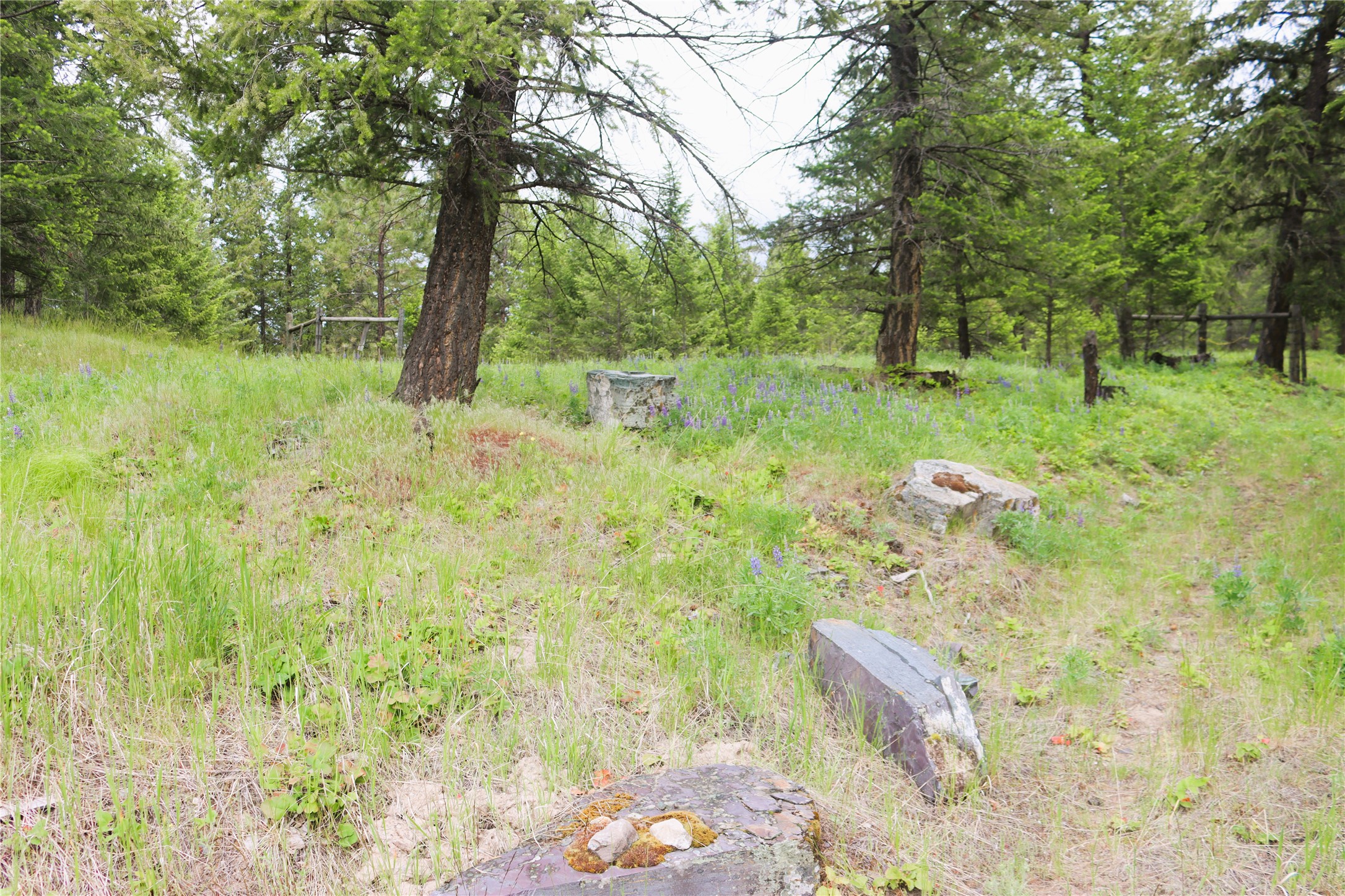 Nhn Black Lake Road Property Photo 51