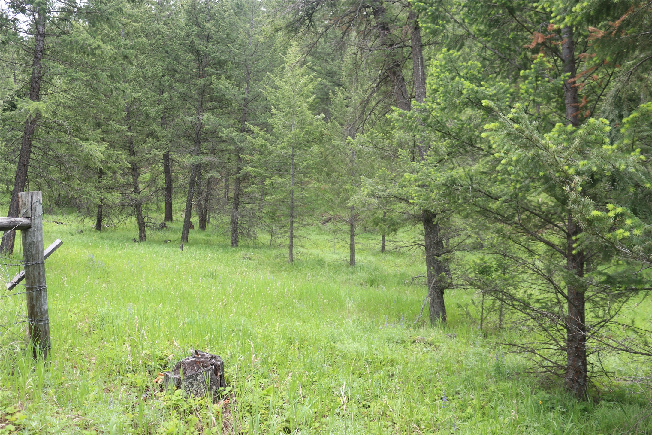 Nhn Black Lake Road Property Photo 52