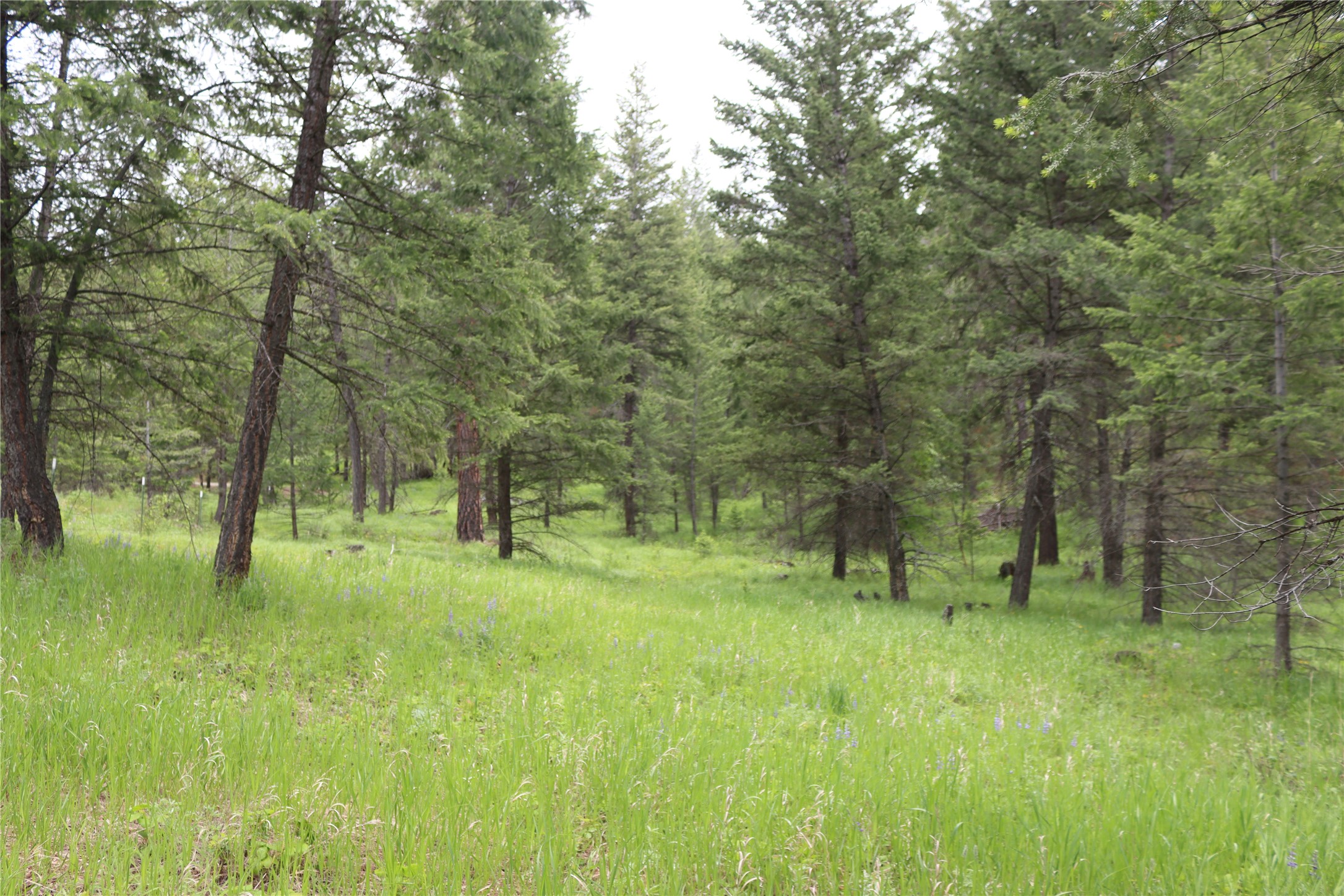 Nhn Black Lake Road Property Photo 53