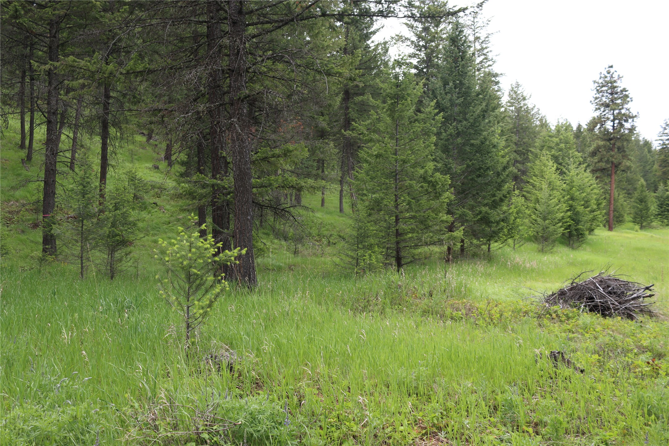 Nhn Black Lake Road Property Photo 56