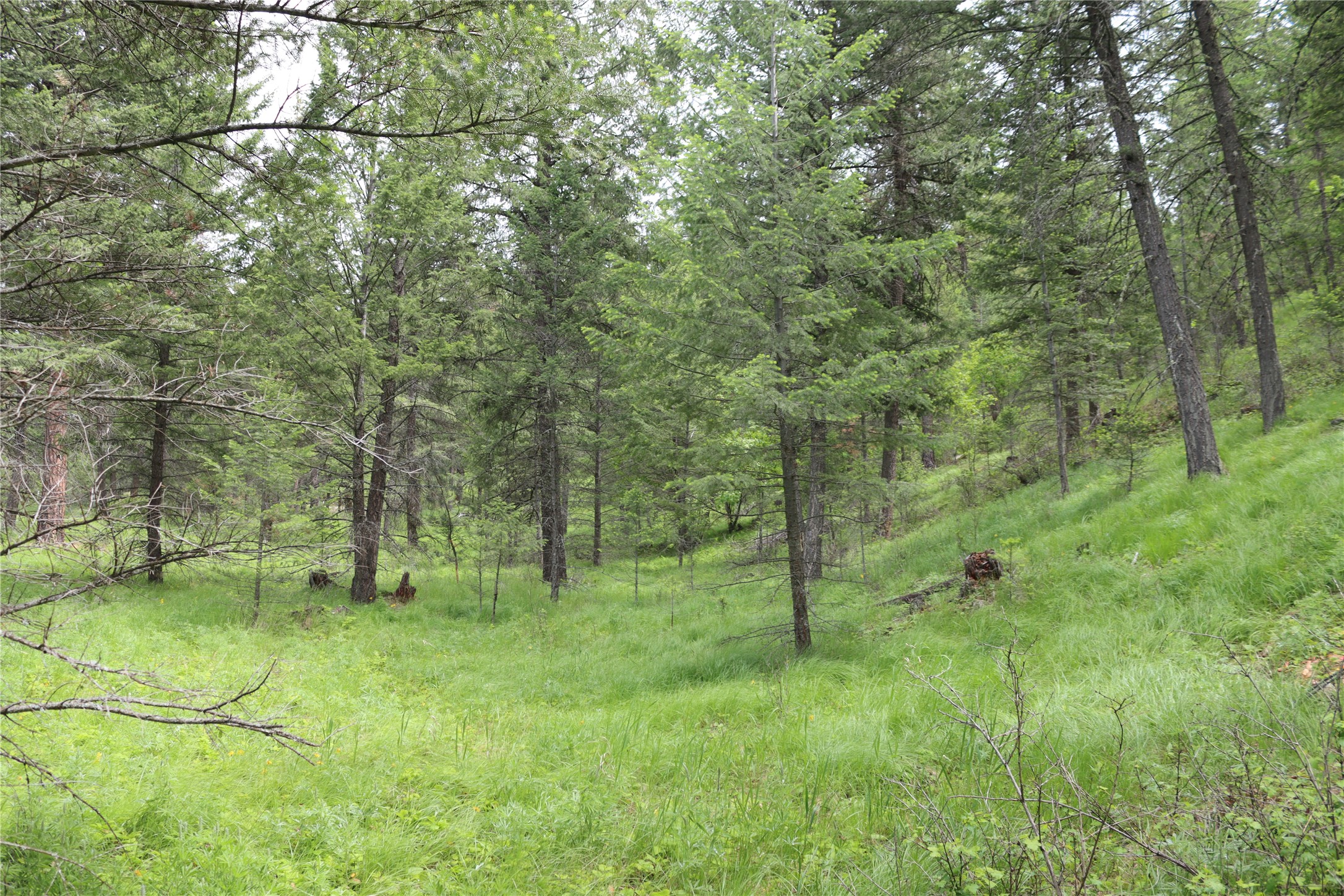 Nhn Black Lake Road Property Photo 61