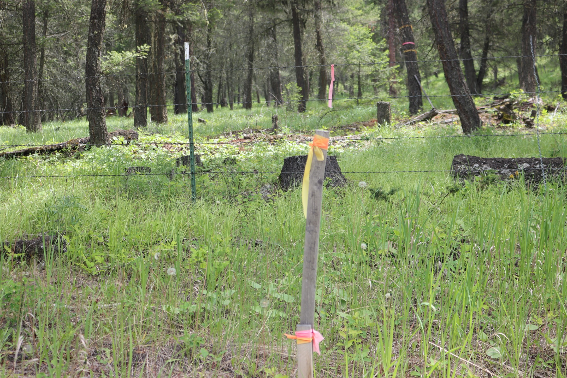 Nhn Black Lake Road Property Photo 64