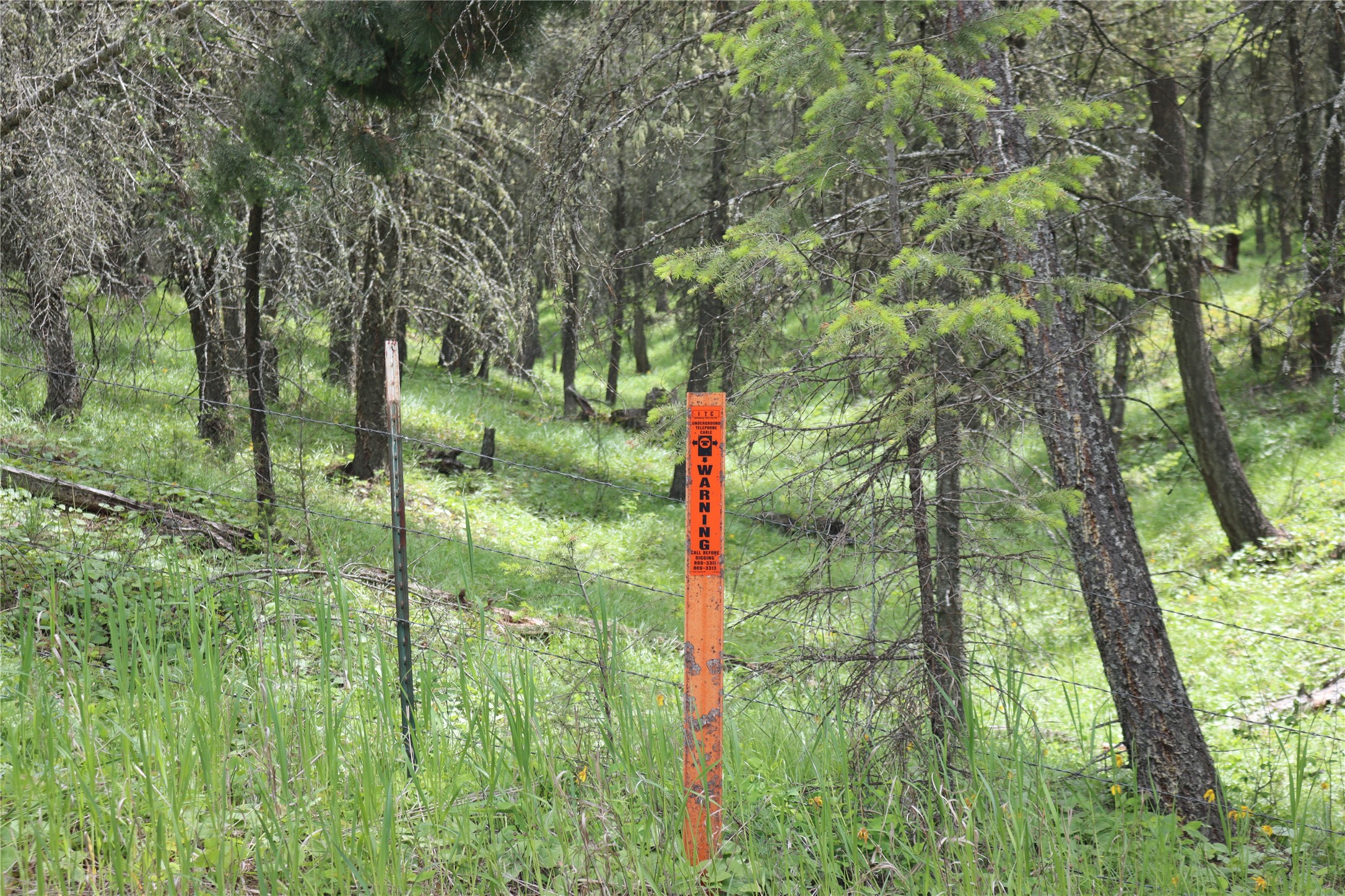 Nhn Black Lake Road Property Photo 65
