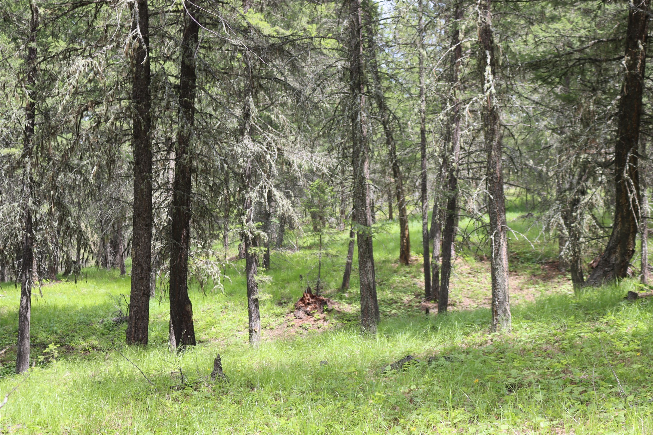 Nhn Black Lake Road Property Photo 66