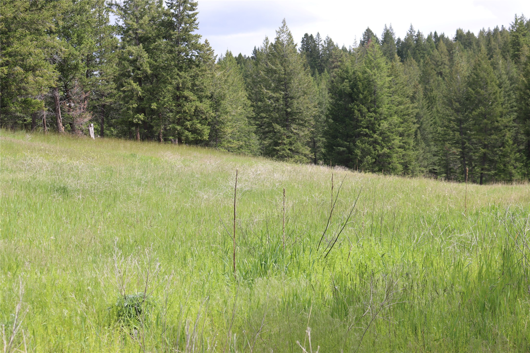 Nhn Black Lake Road Property Photo 68