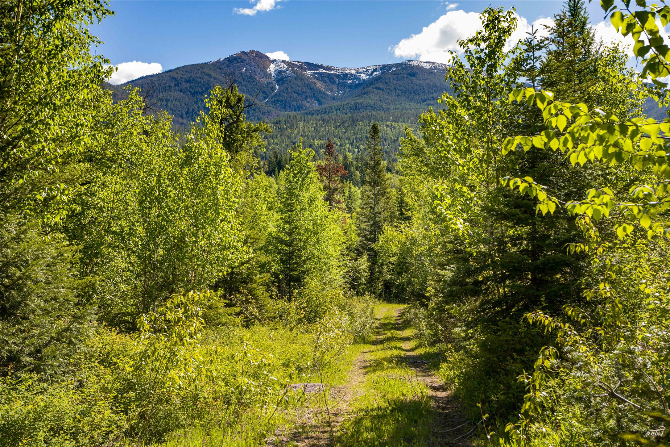 Nhn Orvis Evans Drive Property Photo