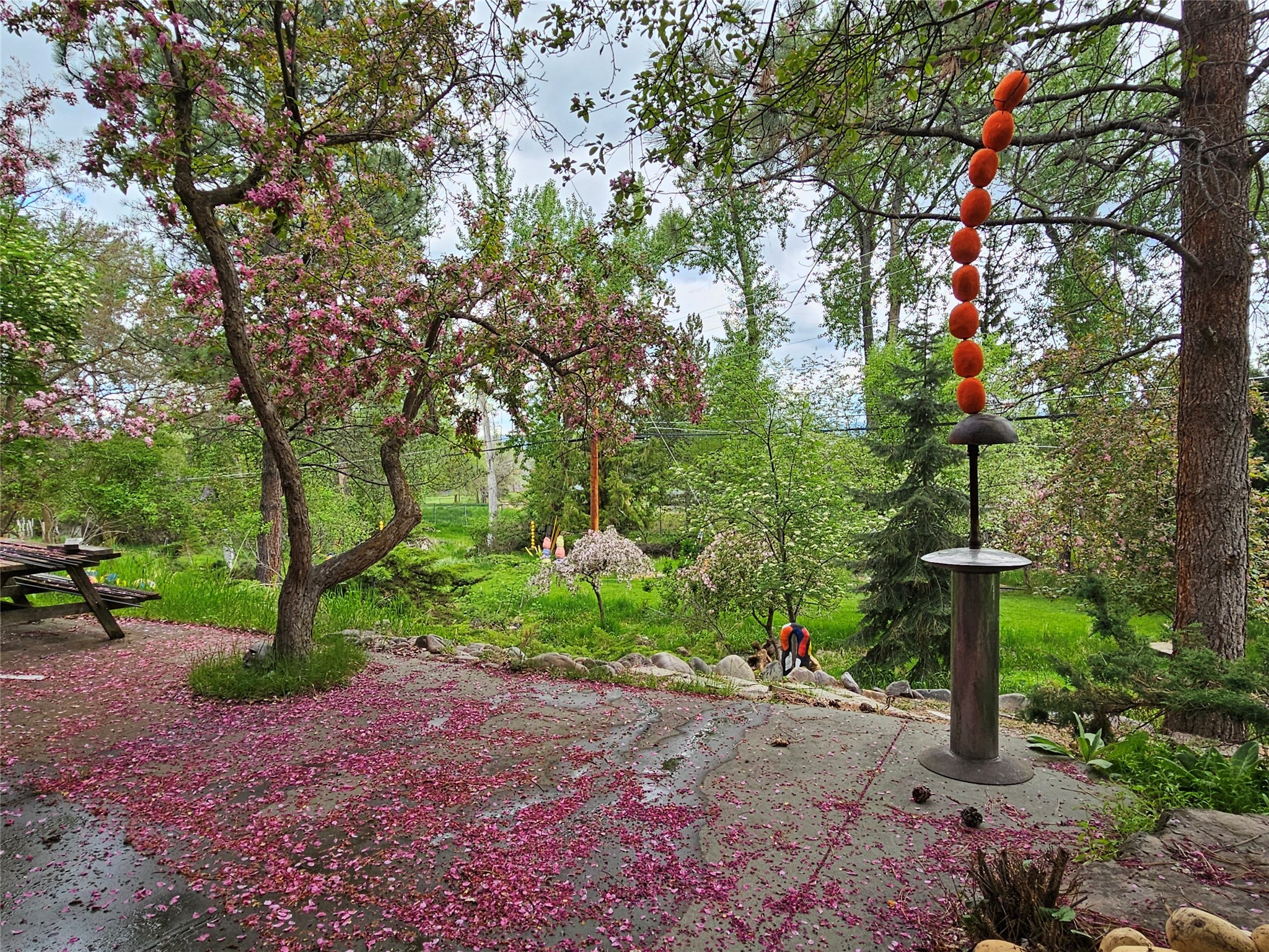 100 Pattee Canyon Road Property Photo 37