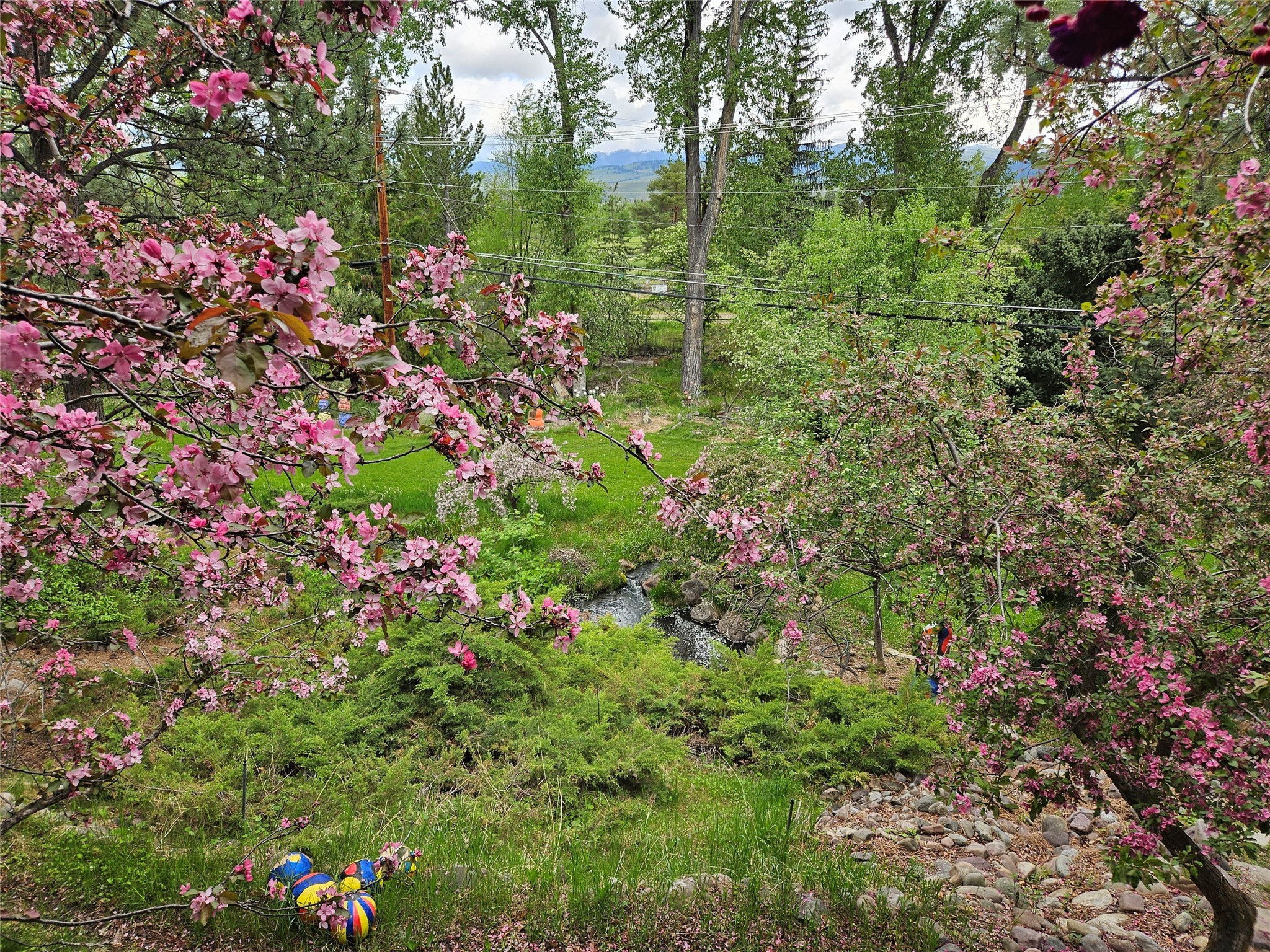 100 Pattee Canyon Road Property Photo 38