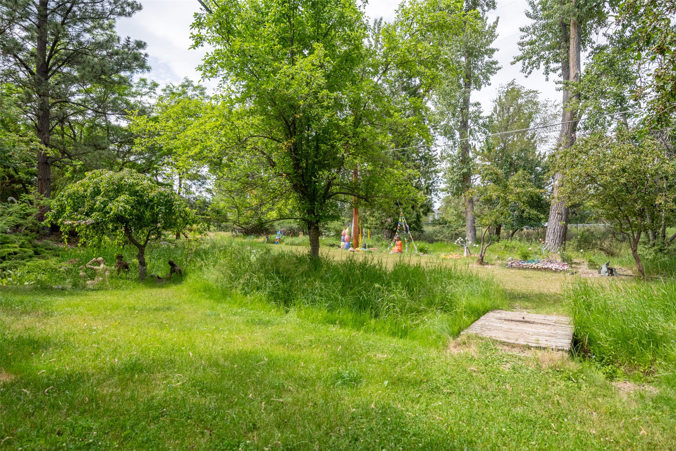 100 Pattee Canyon Road Property Photo 43
