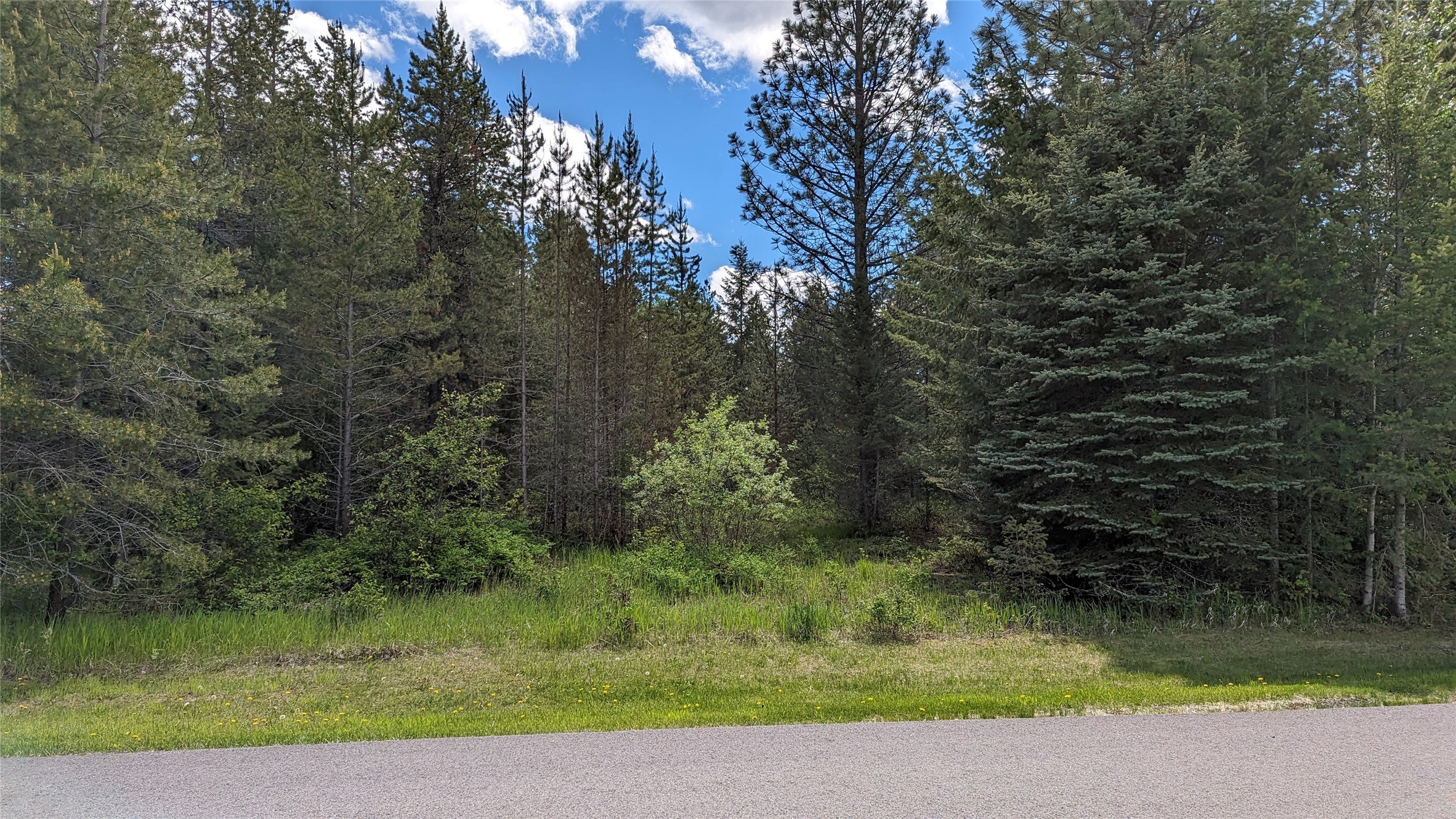 610 Wild River Drive Property Photo 3