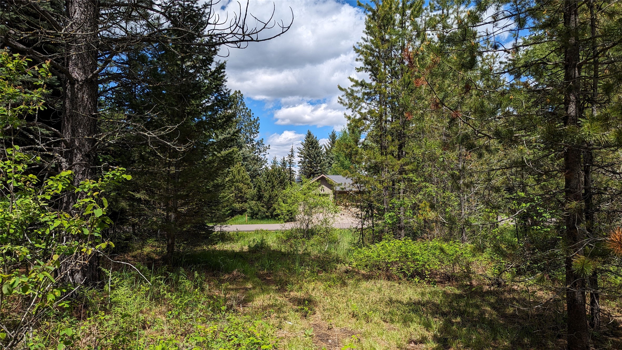 610 Wild River Drive Property Photo 4