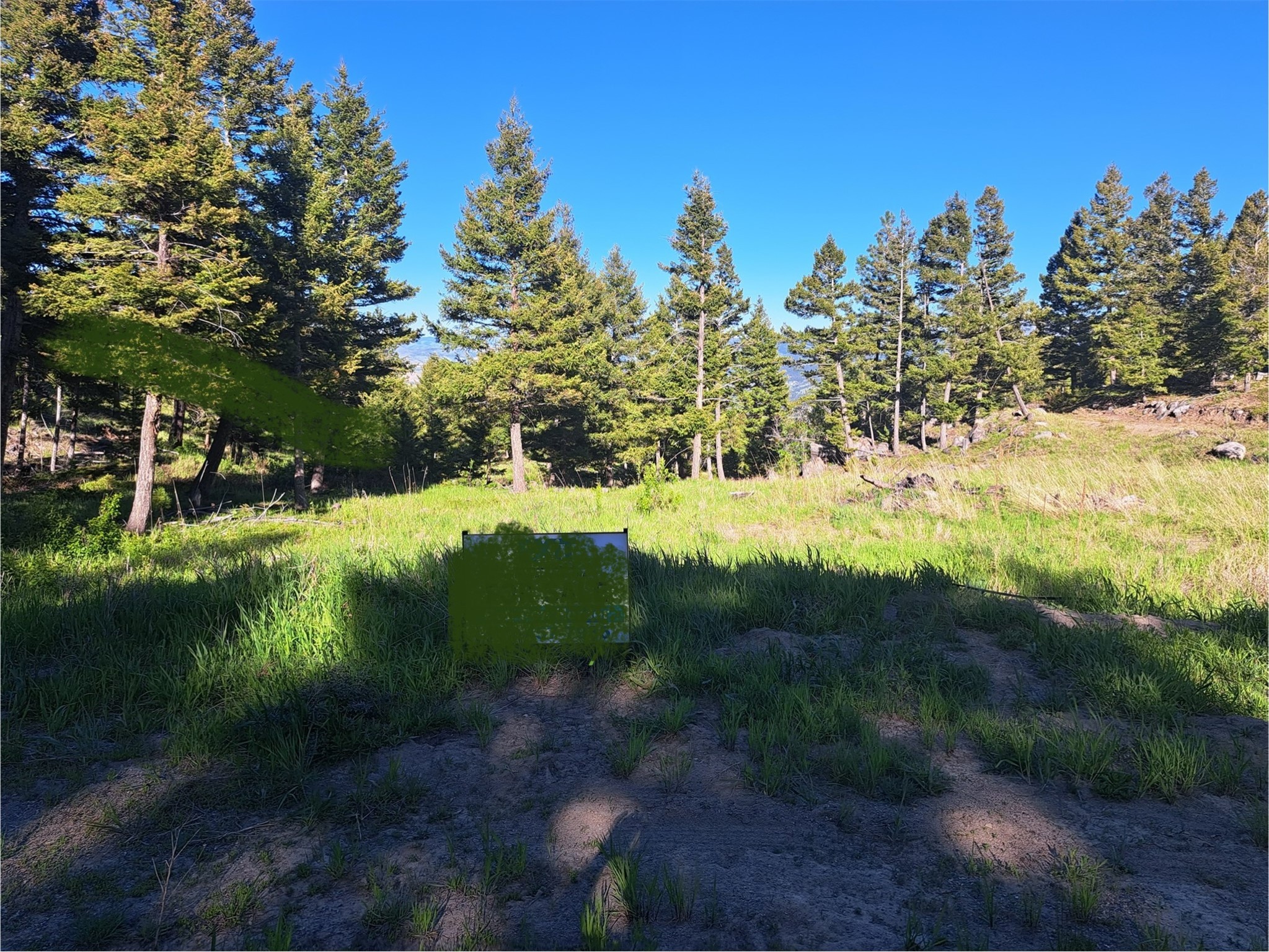 53 Skihi Peak Drive Property Photo 3