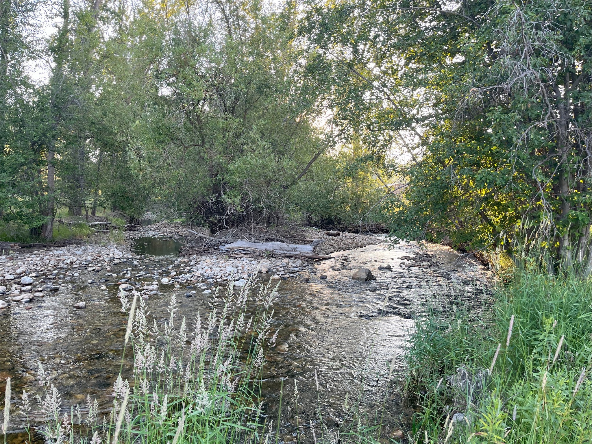 1699 S Sleeping Child Road Property Photo 27