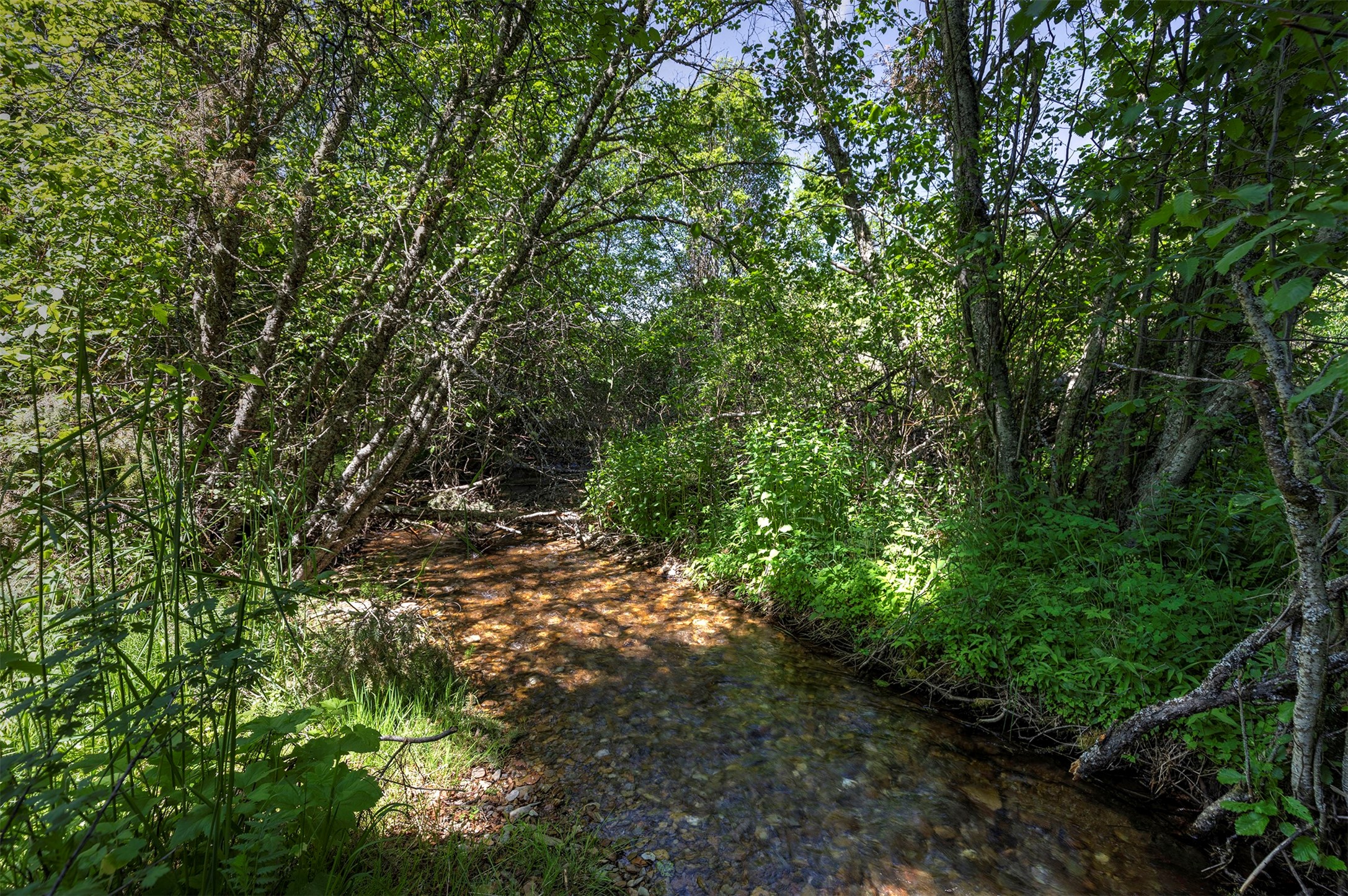 Nhn Dodd Ranch Road Property Photo 4