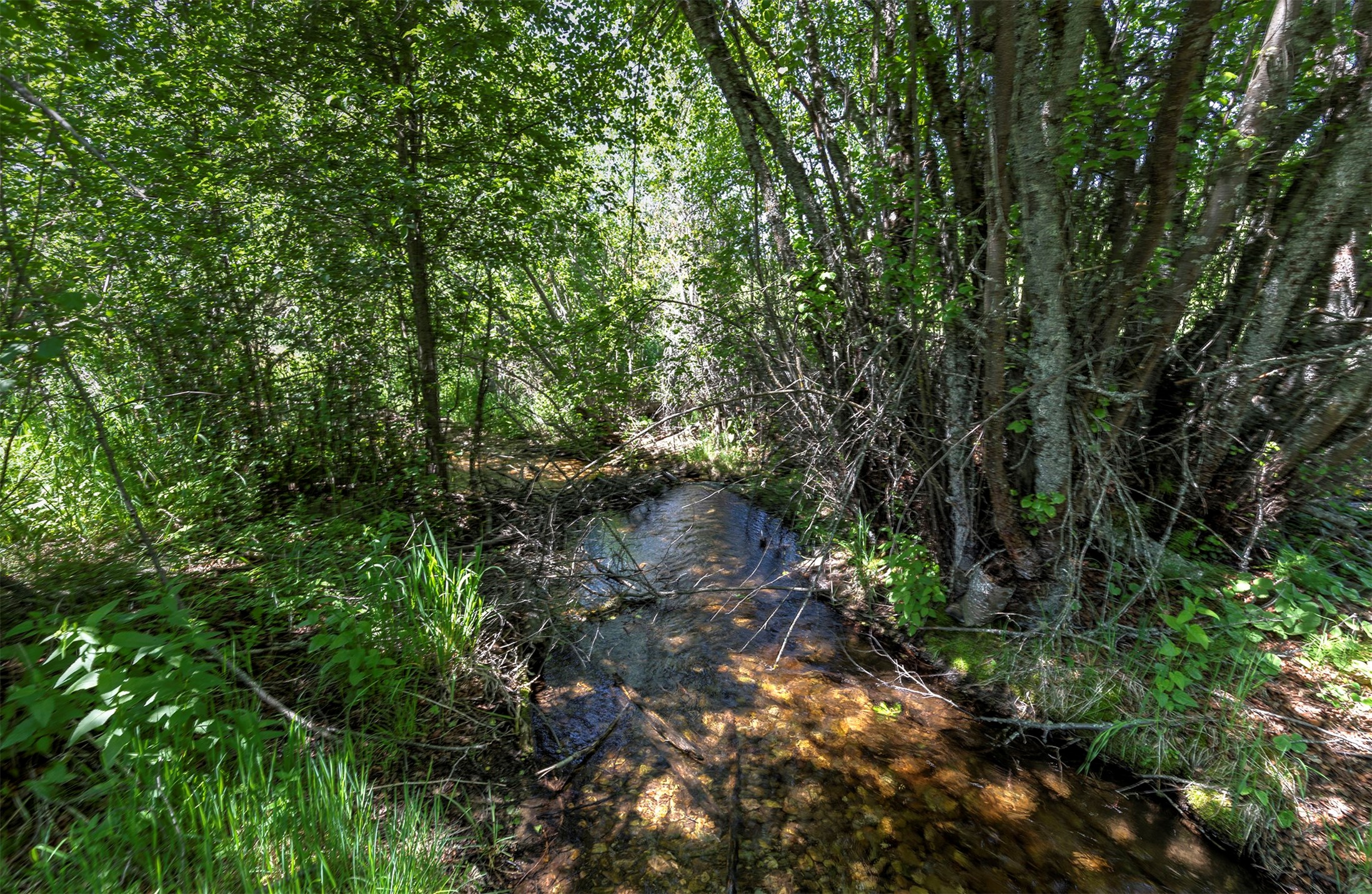 Nhn Dodd Ranch Road Property Photo 5
