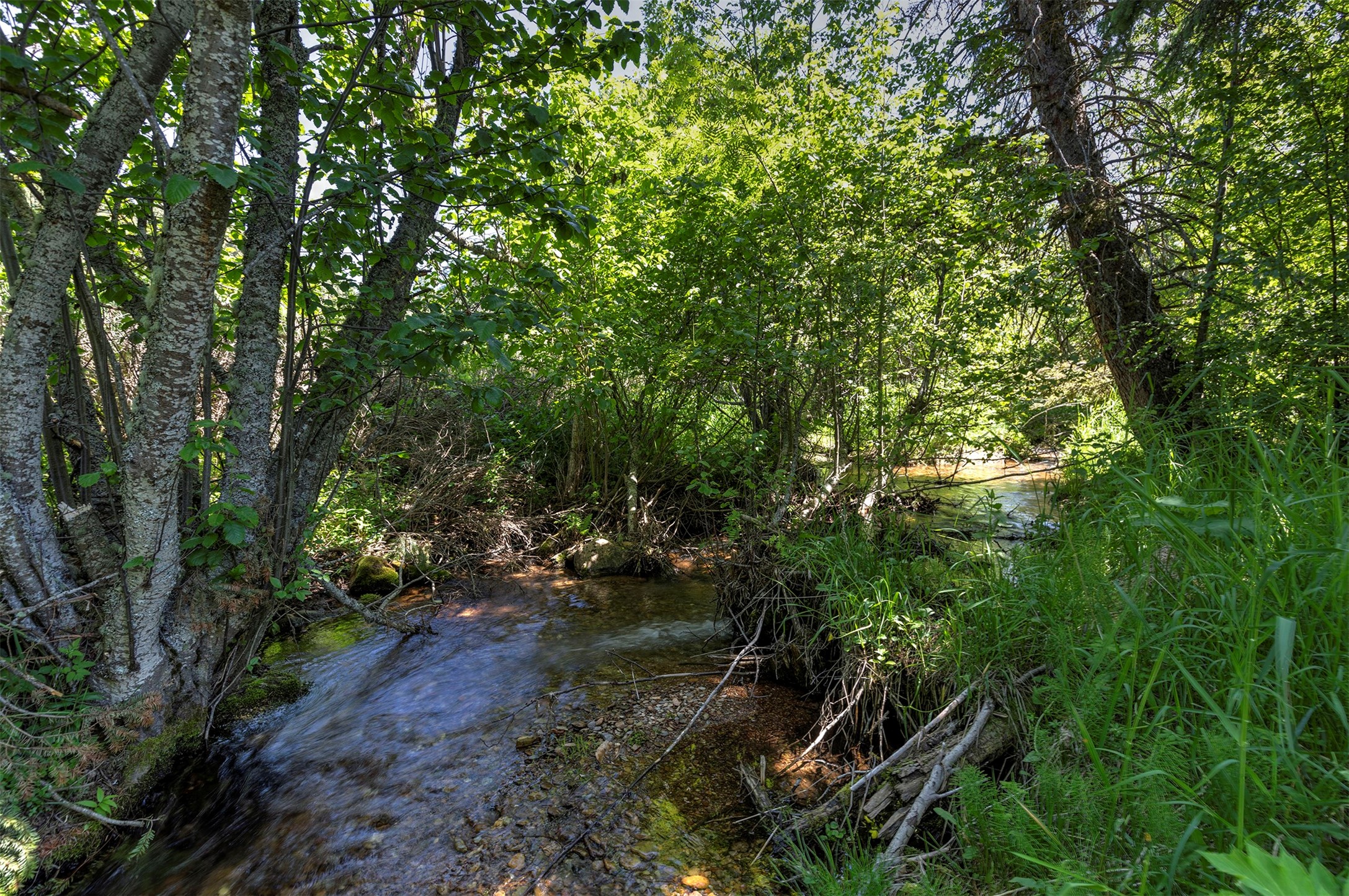 Nhn Dodd Ranch Road Property Photo 6