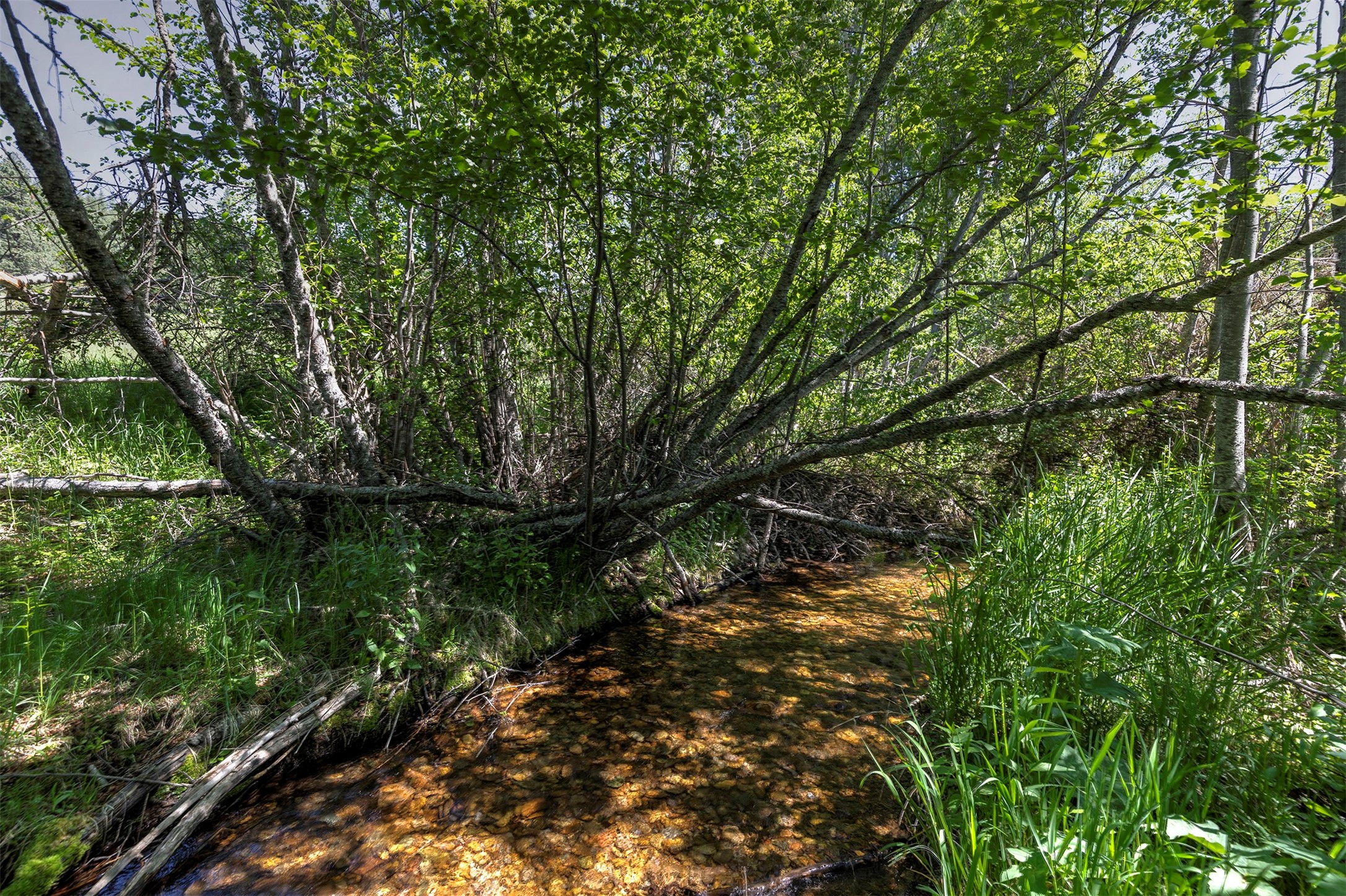 Nhn Dodd Ranch Road Property Photo 8