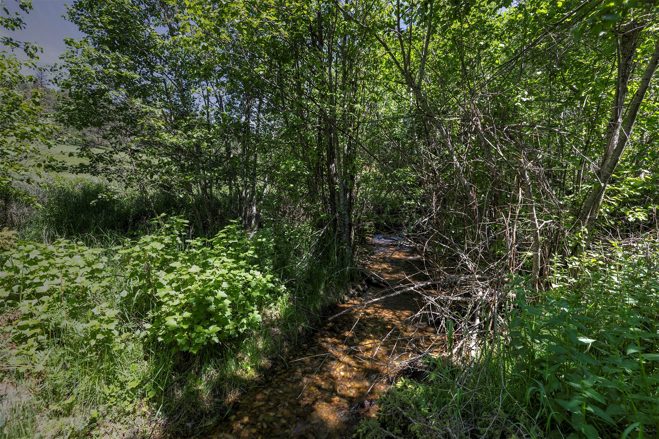 Nhn Dodd Ranch Road Property Photo 9
