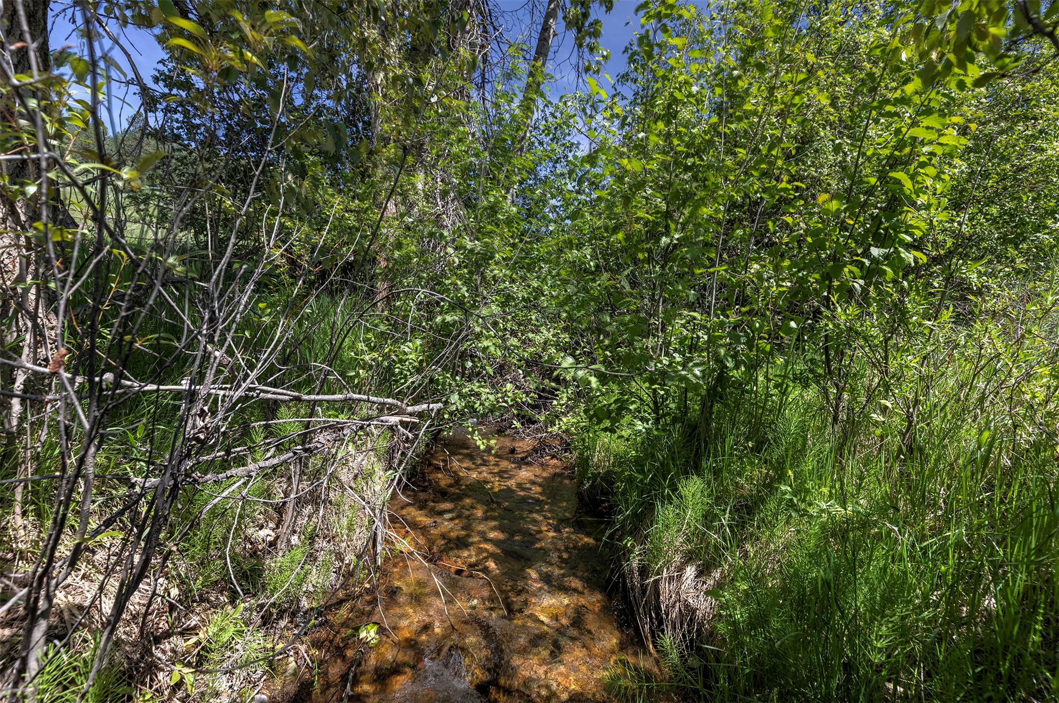 Nhn Dodd Ranch Road Property Photo 10