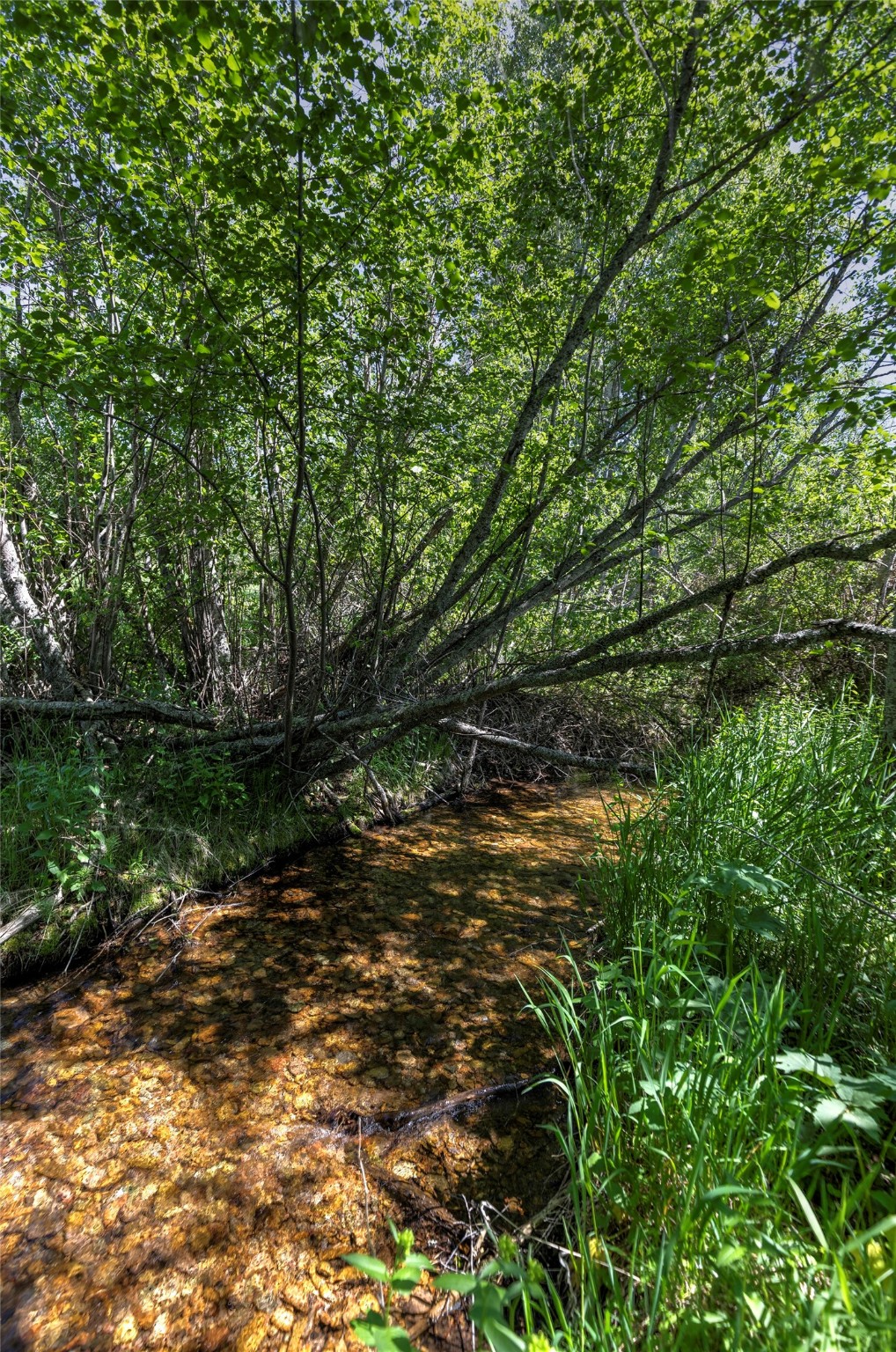 Nhn Dodd Ranch Road Property Photo 11
