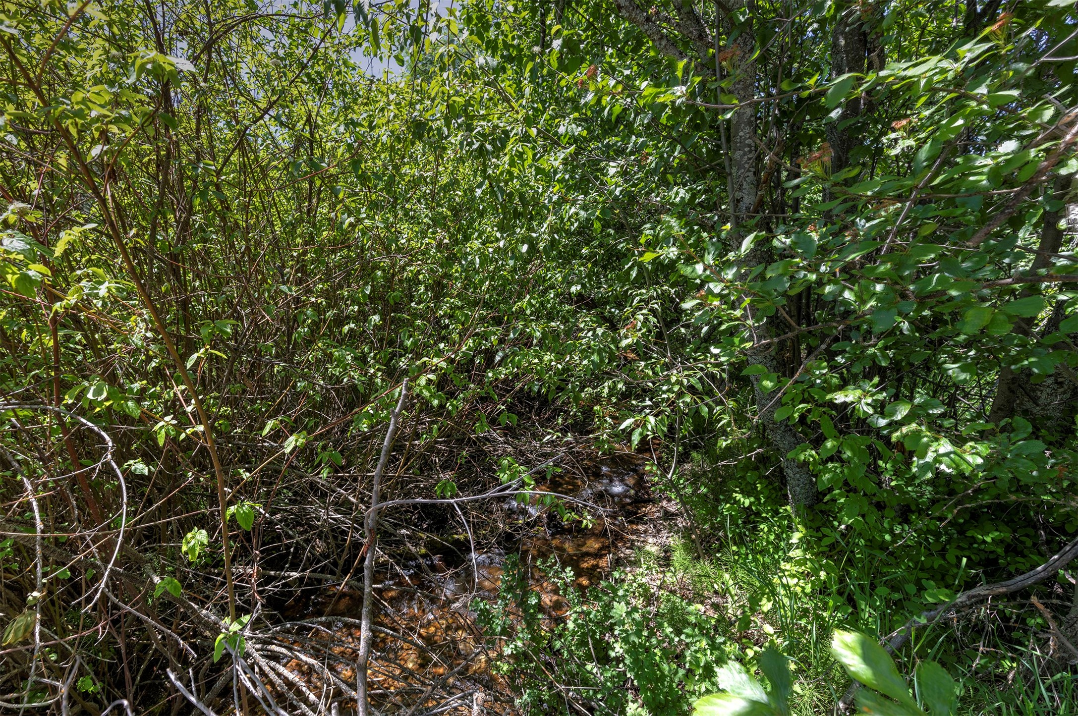Nhn Dodd Ranch Road Property Photo 12