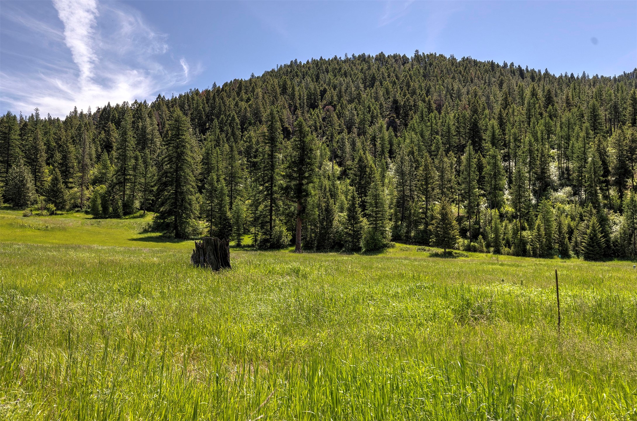 Nhn Dodd Ranch Road Property Photo 15