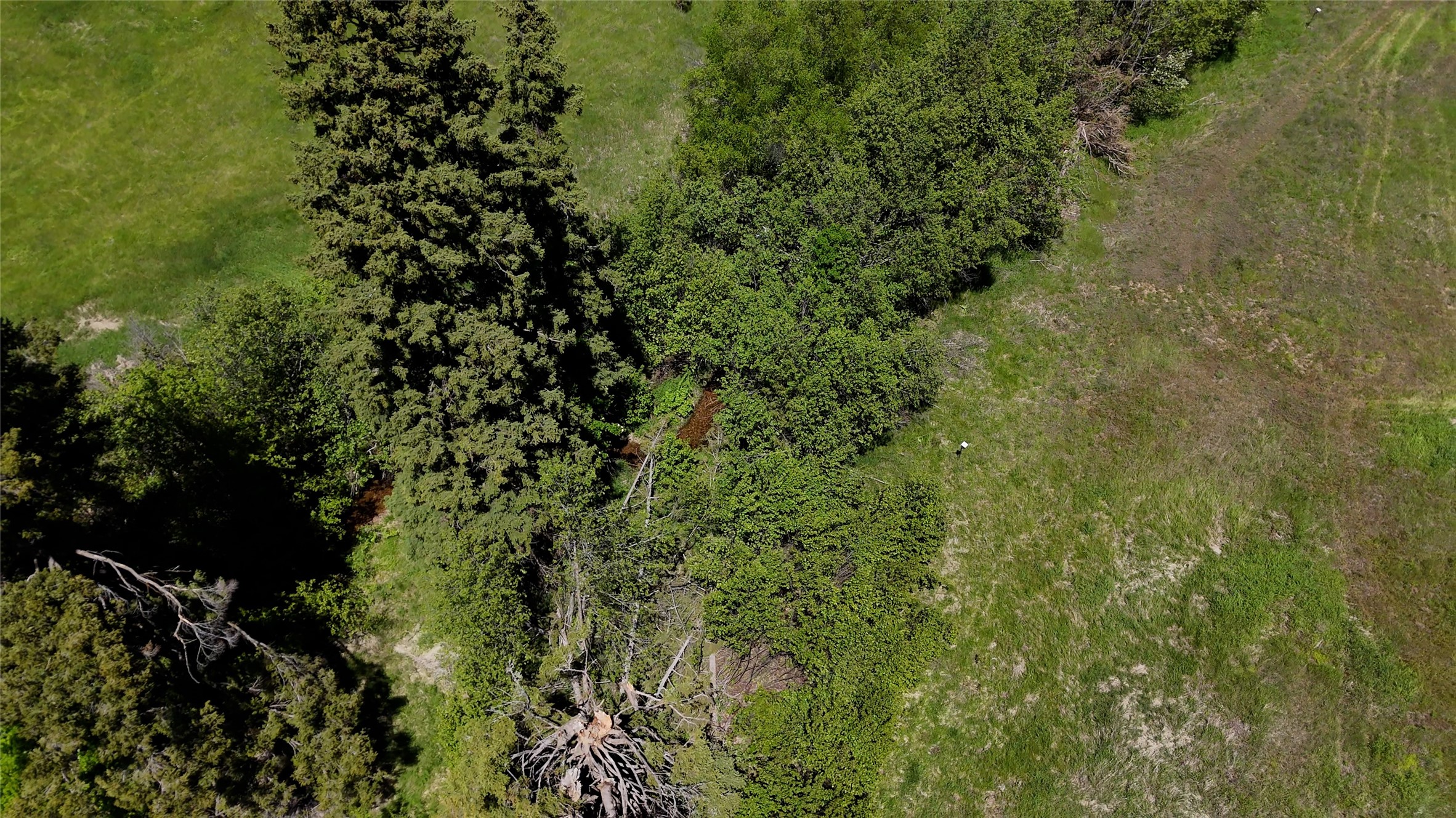 Nhn Dodd Ranch Road Property Photo 17