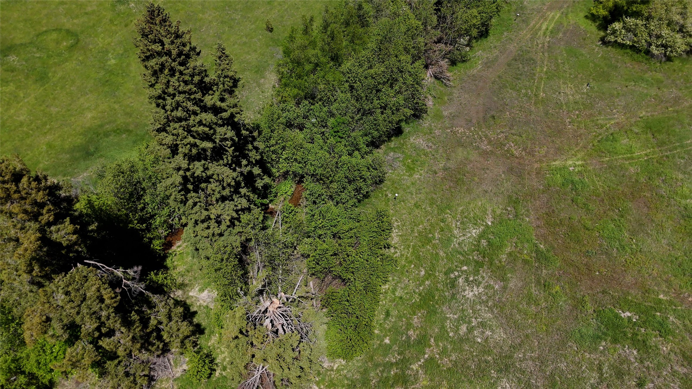 Nhn Dodd Ranch Road Property Photo 18