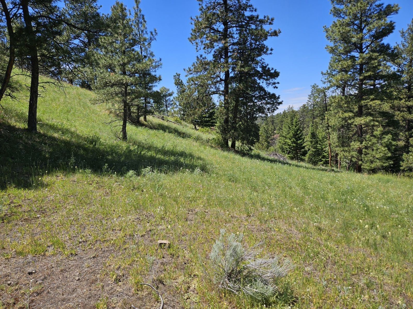 Tbd Sugarloaf Mountain Lane Property Photo
